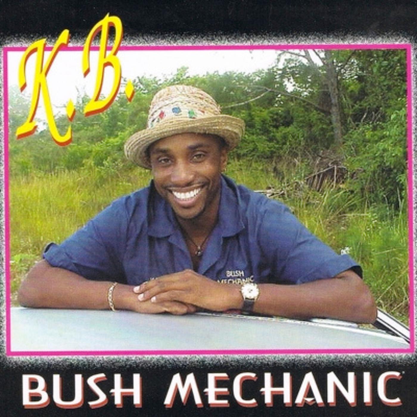 Постер альбома Bush Mechanic