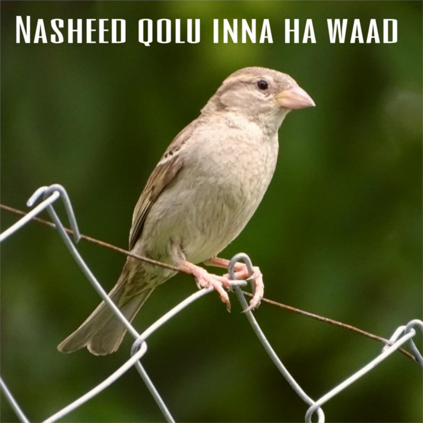 Постер альбома Nasheed Qolu Inna Ha Waad