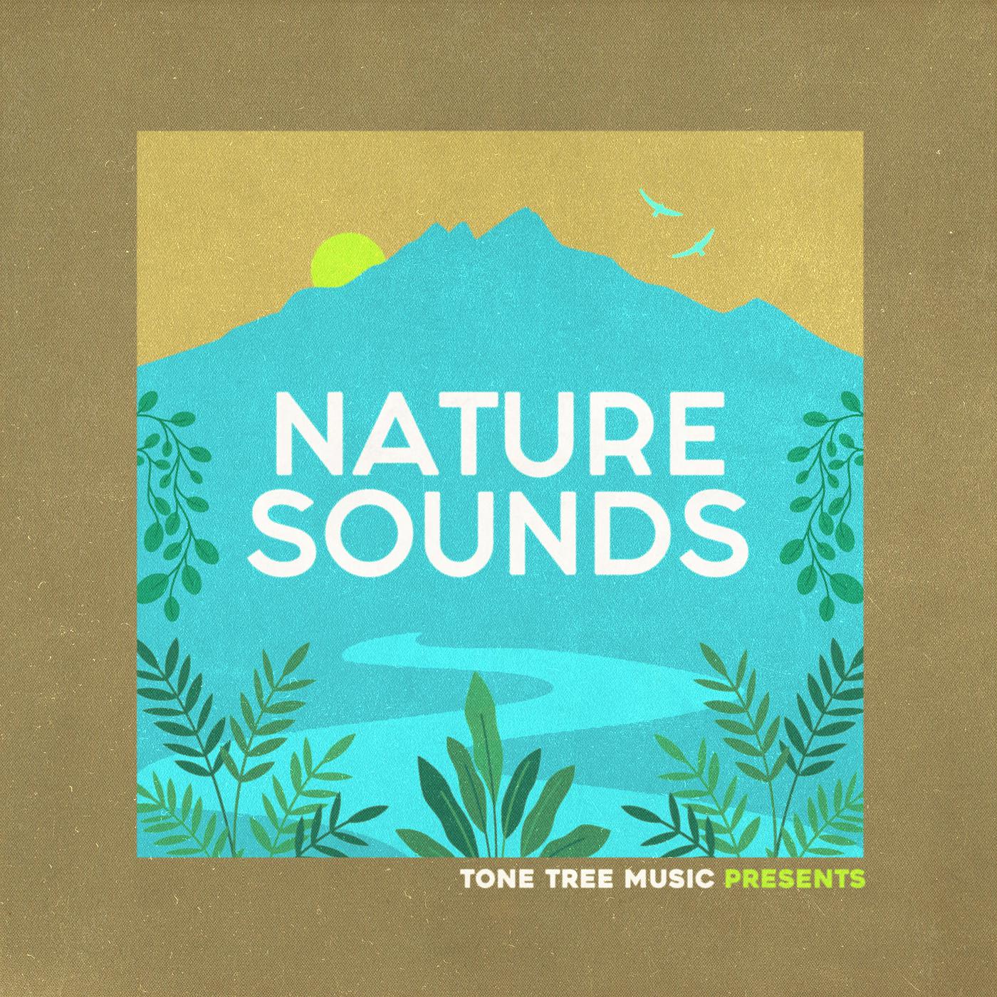 Постер альбома Tone Tree Music Presents: Nature Sounds