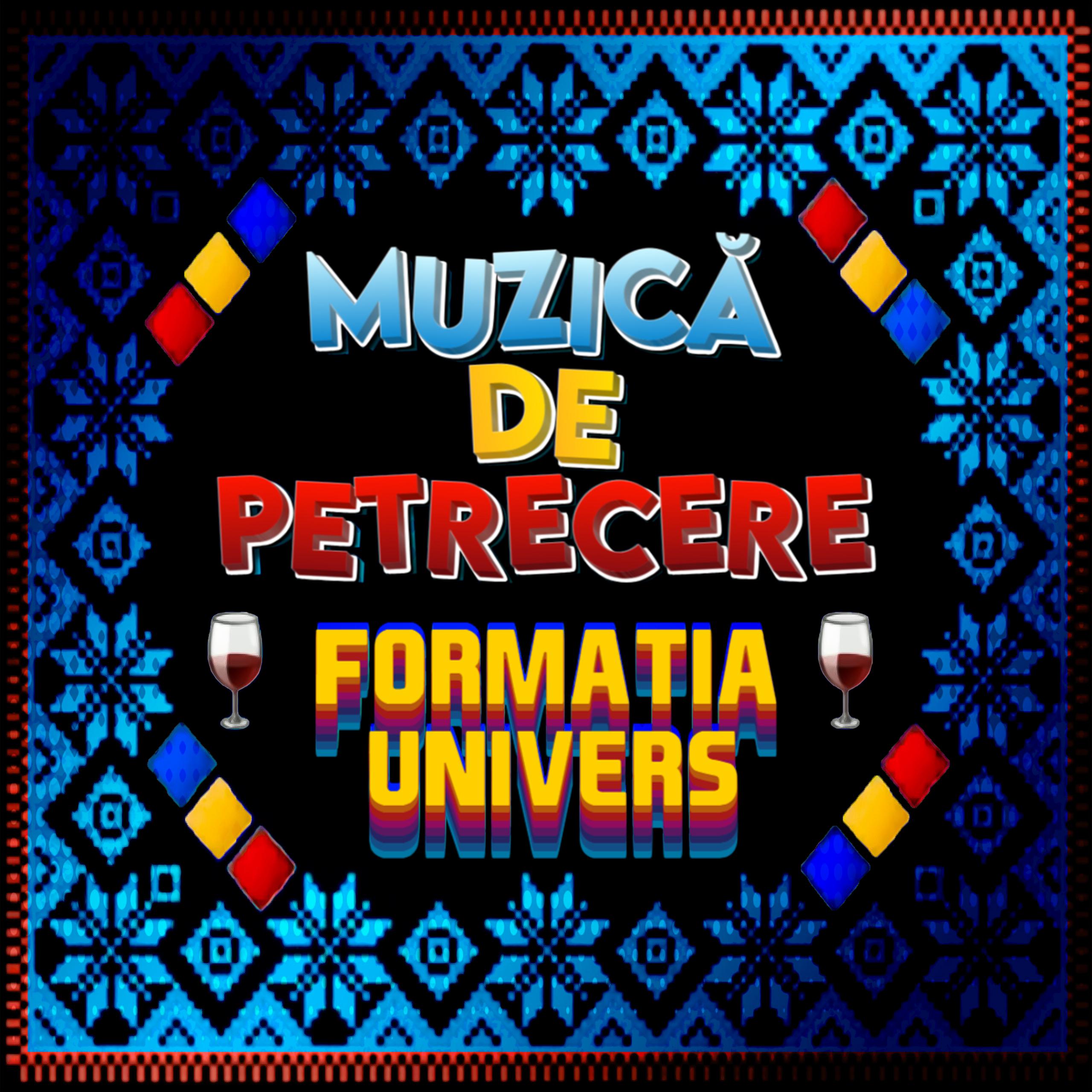 Постер альбома Formatia Univers