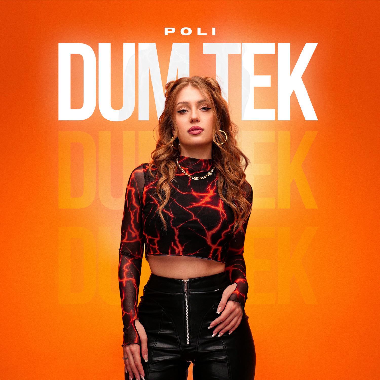 Постер альбома Dum Tek