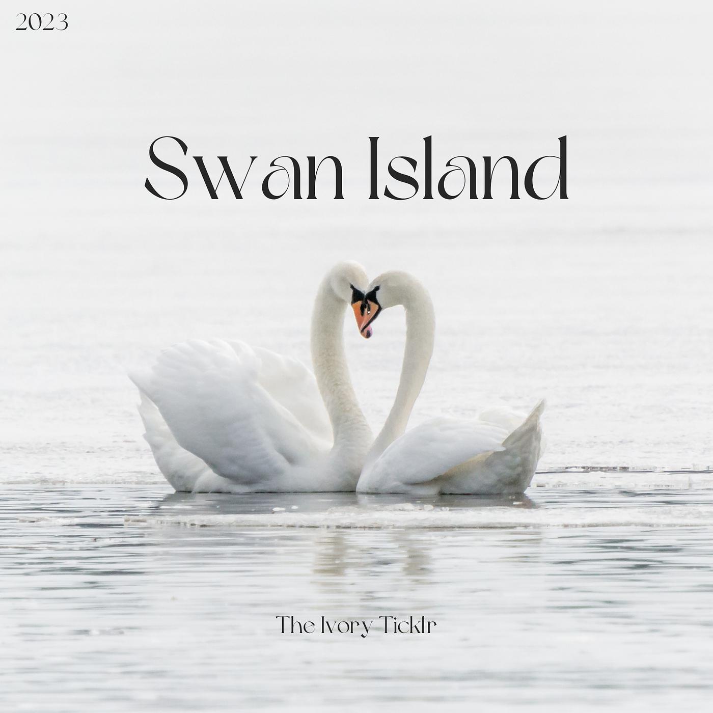 Постер альбома Swan Island