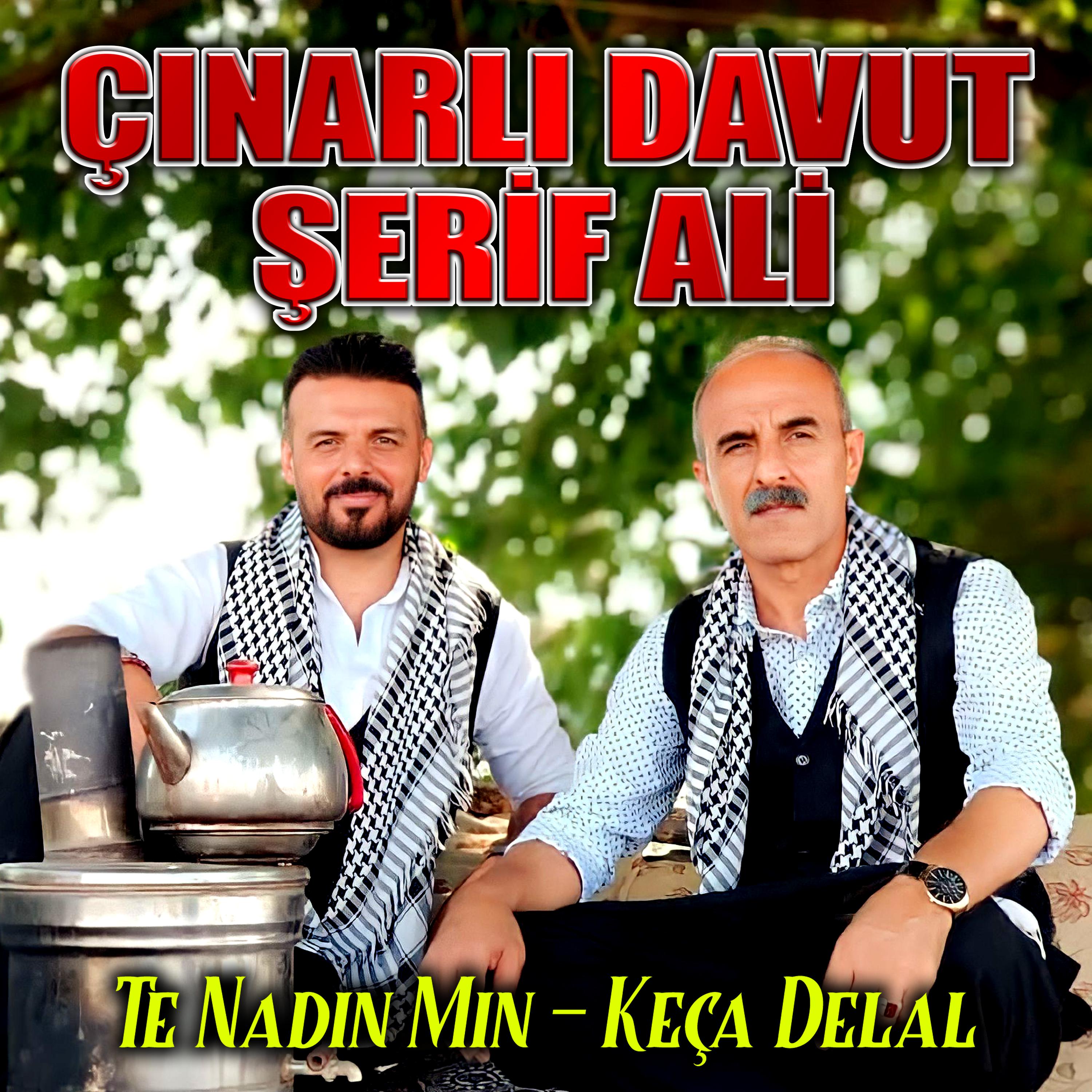 Постер альбома Te Nadın Mın
