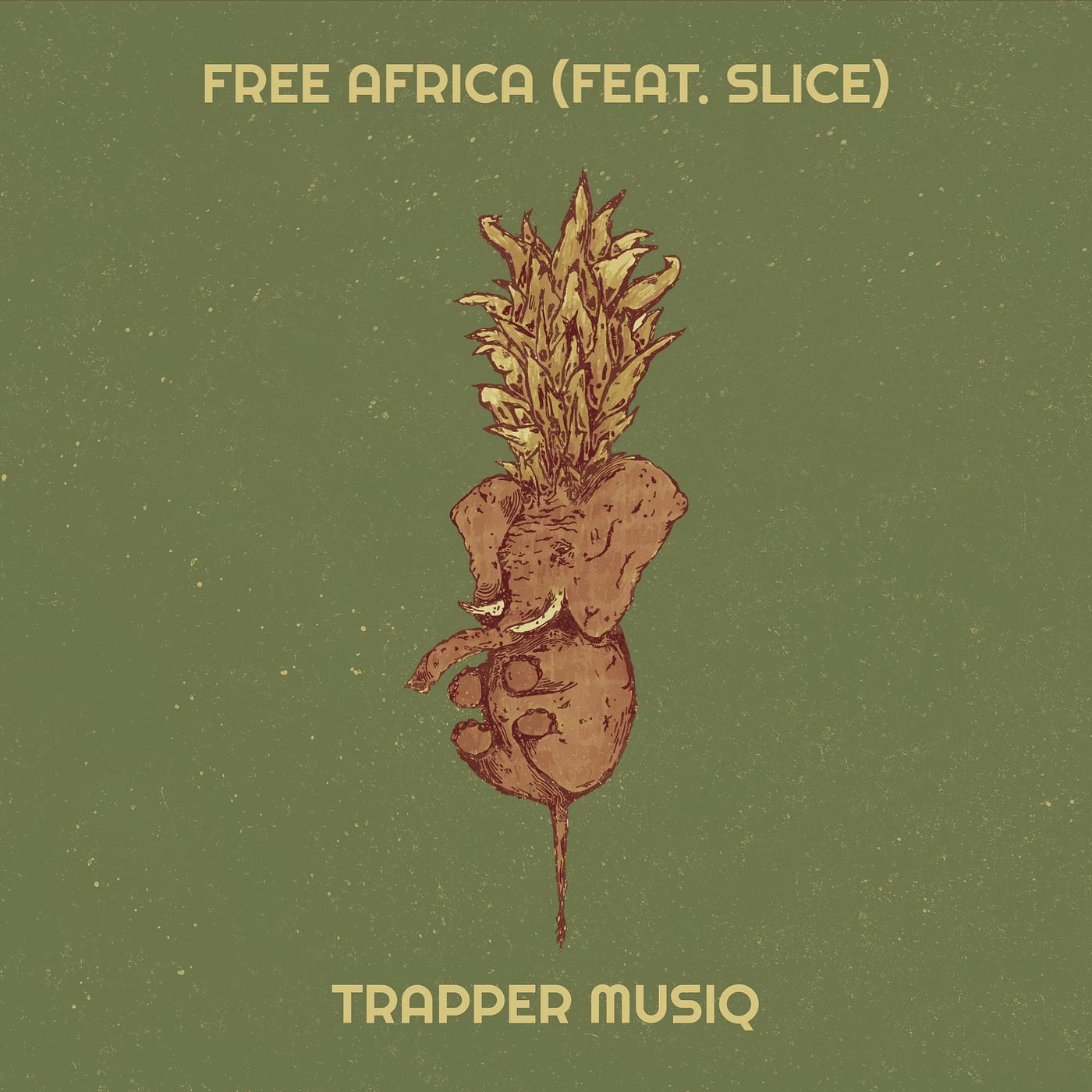 Постер альбома Free Africa