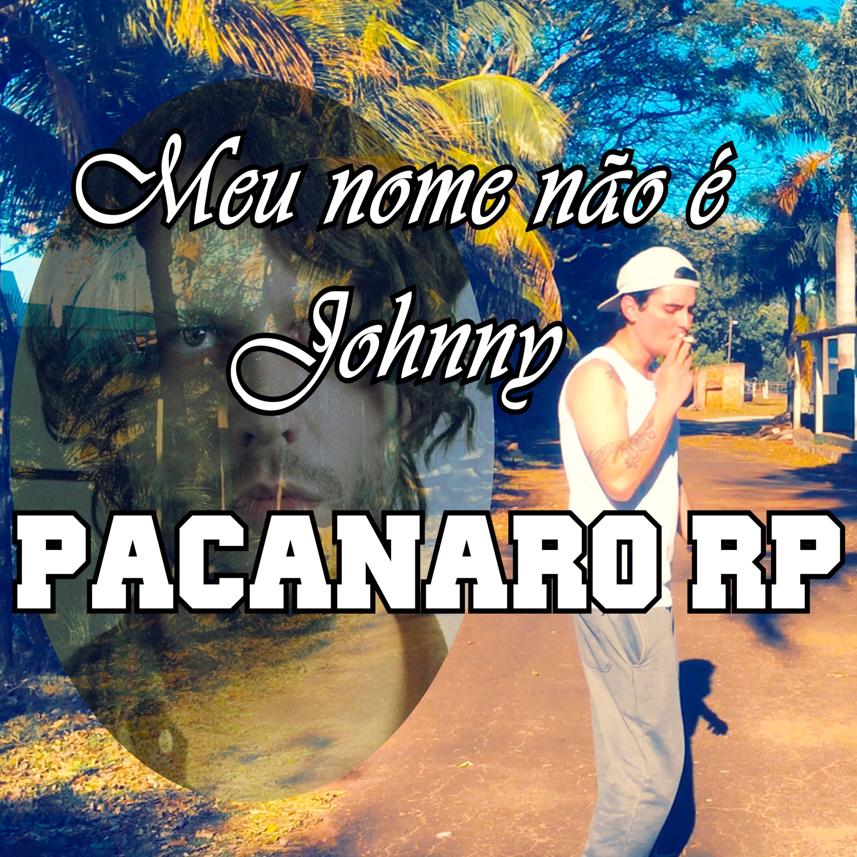 Постер альбома Meu Nome Não É Johnny