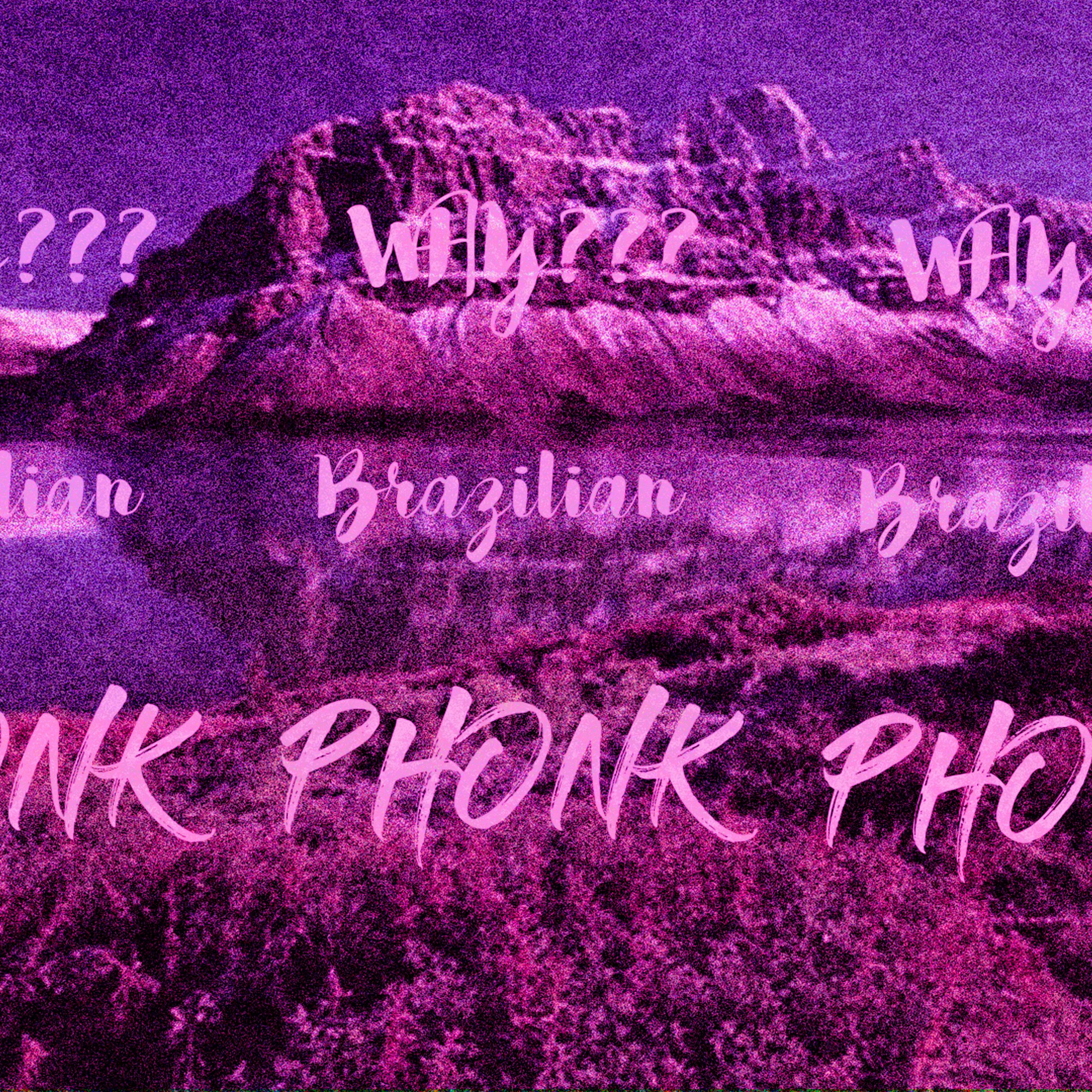 Постер альбома Why the brazilian phonk