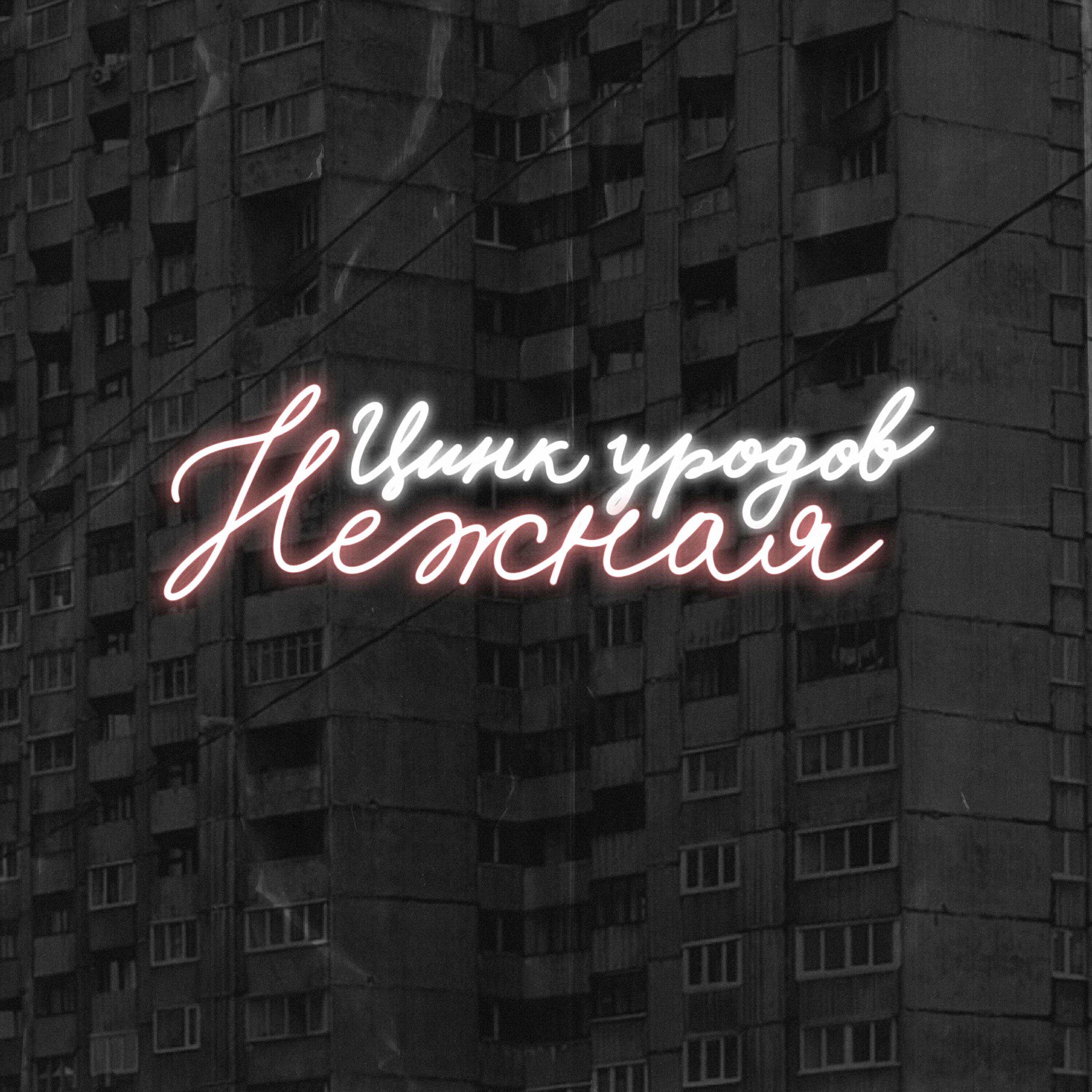 Альбом Нежная исполнителя Цинк Уродов