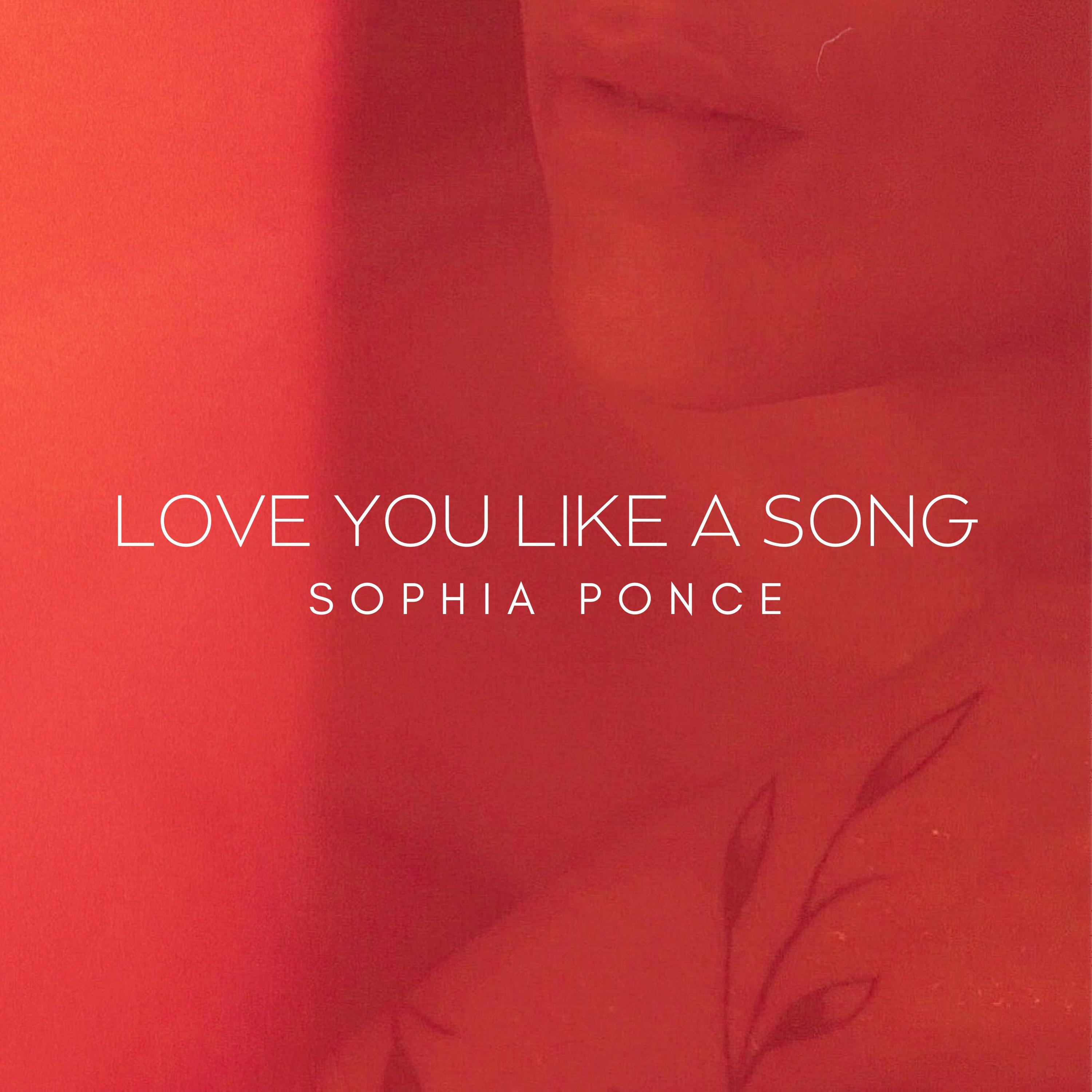 Постер альбома Love You Like a Song