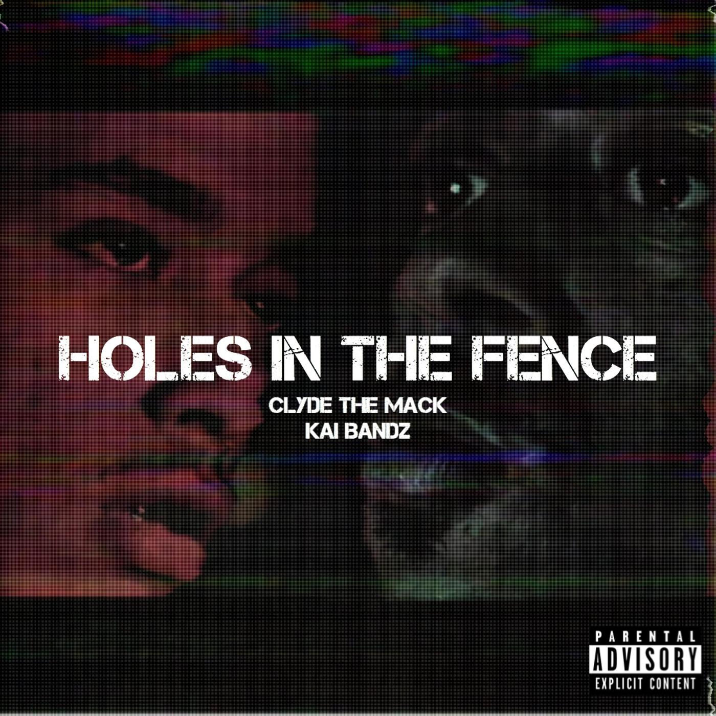Постер альбома Holes in the Fence