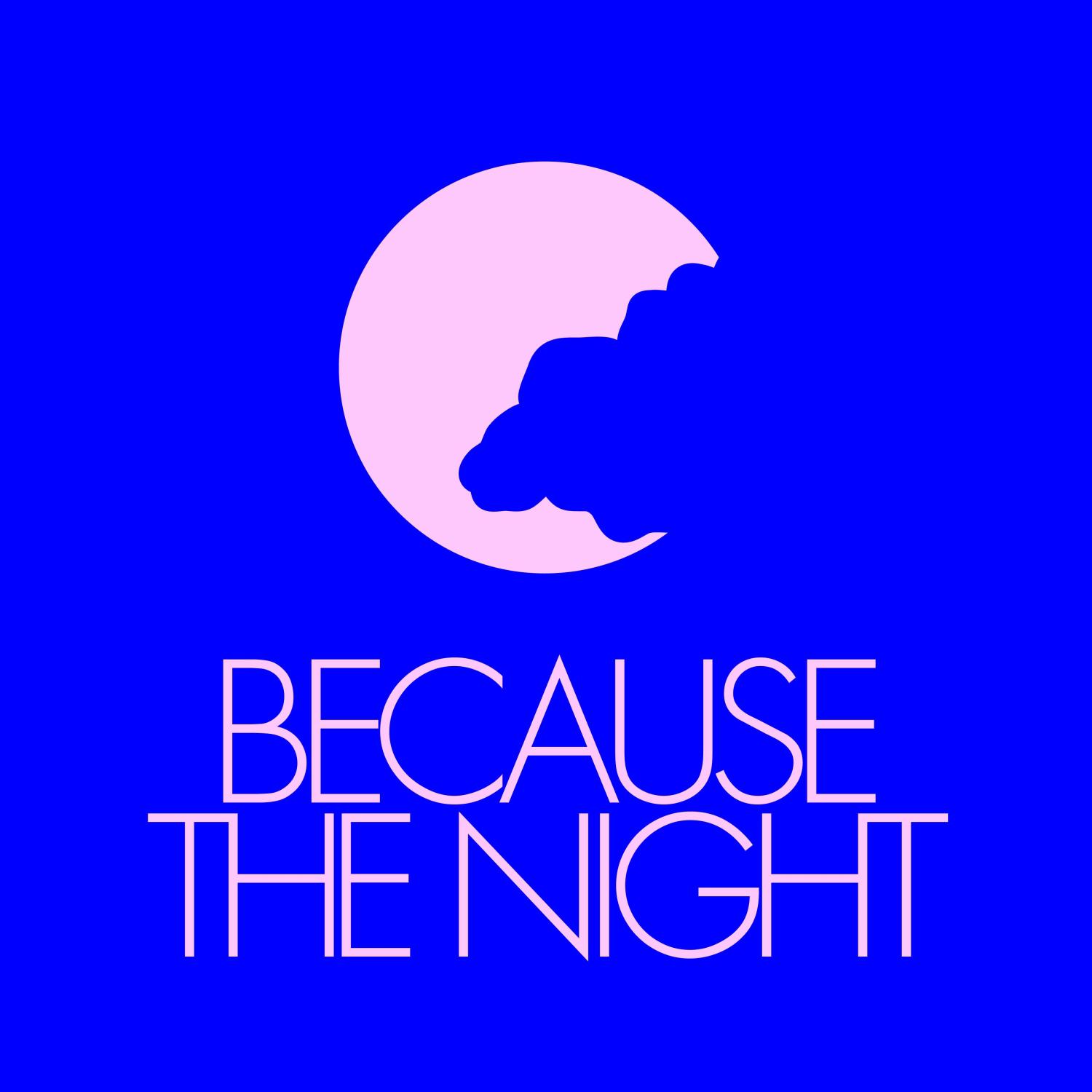 Постер альбома Because The Night