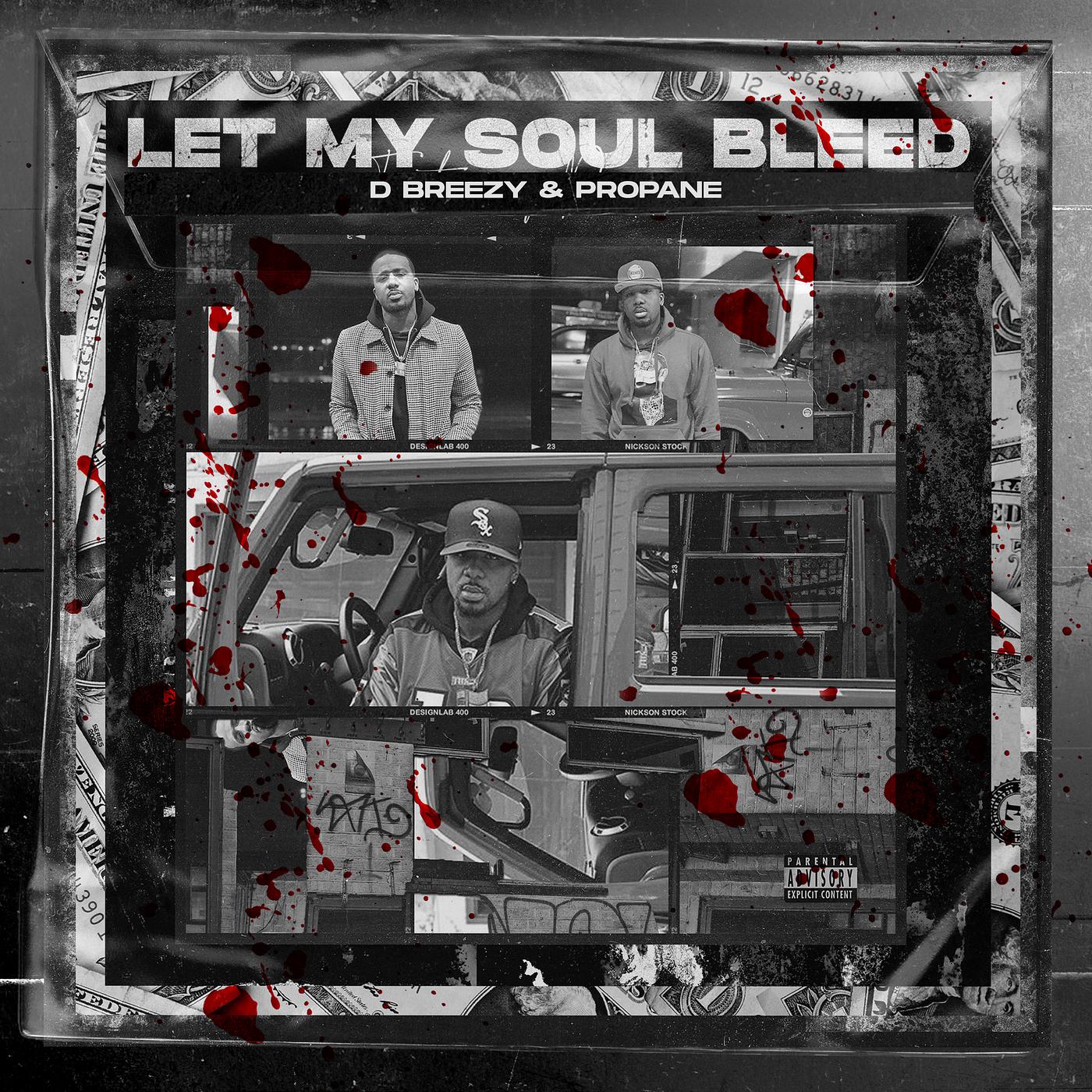 Постер альбома Let My Soul Bleed
