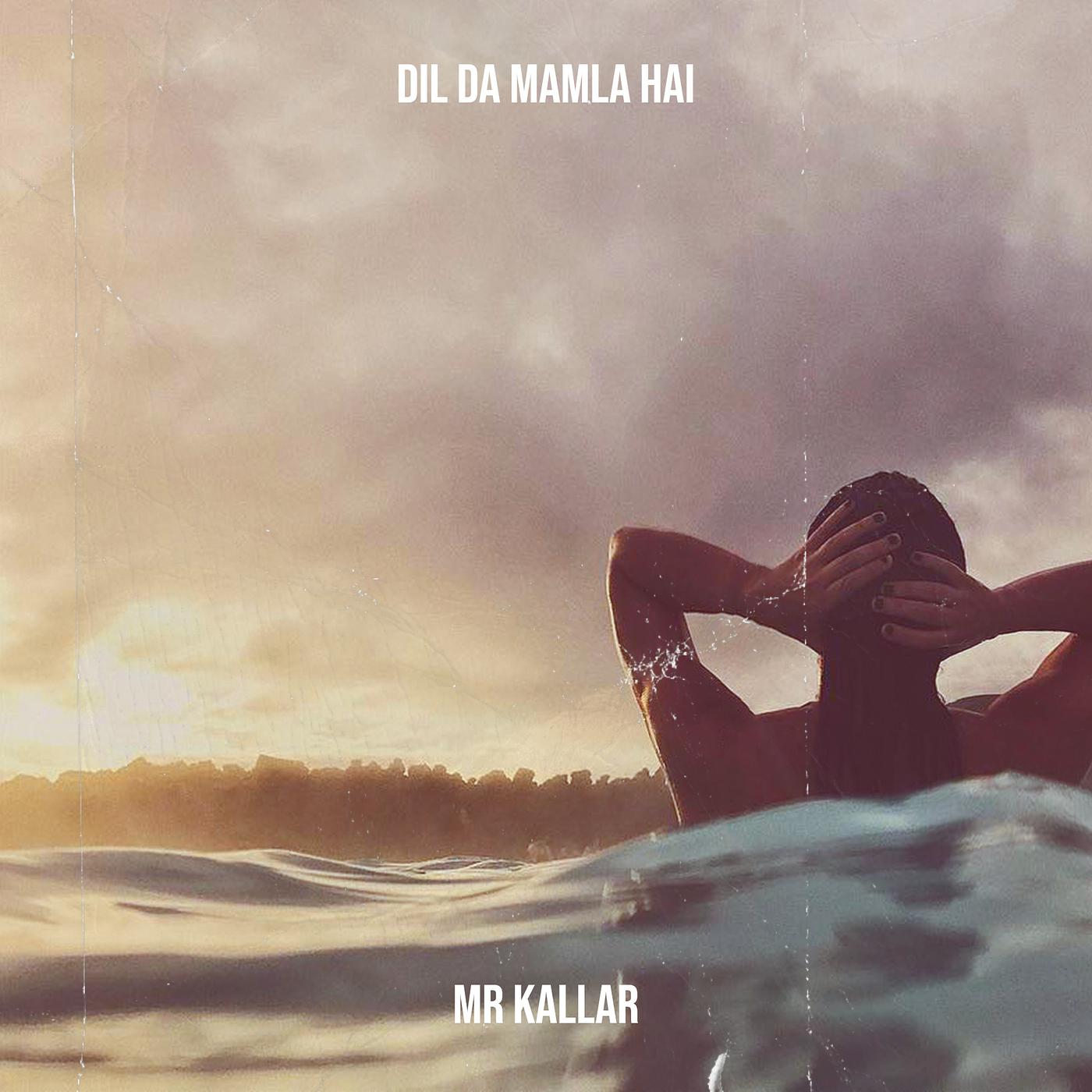 Постер альбома Dil da Mamla Hai Khuda Ke Vaste