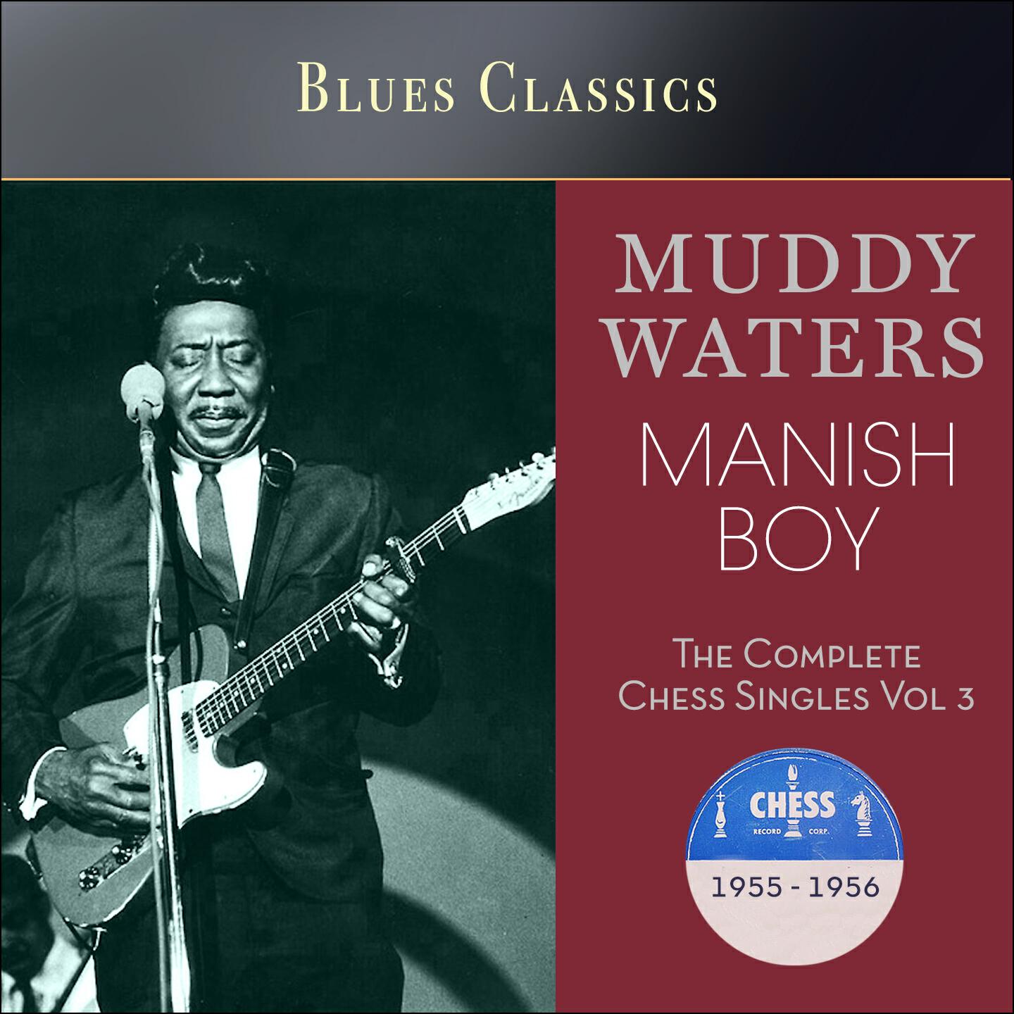 Muddy Waters - Forty Days and Forty Nights