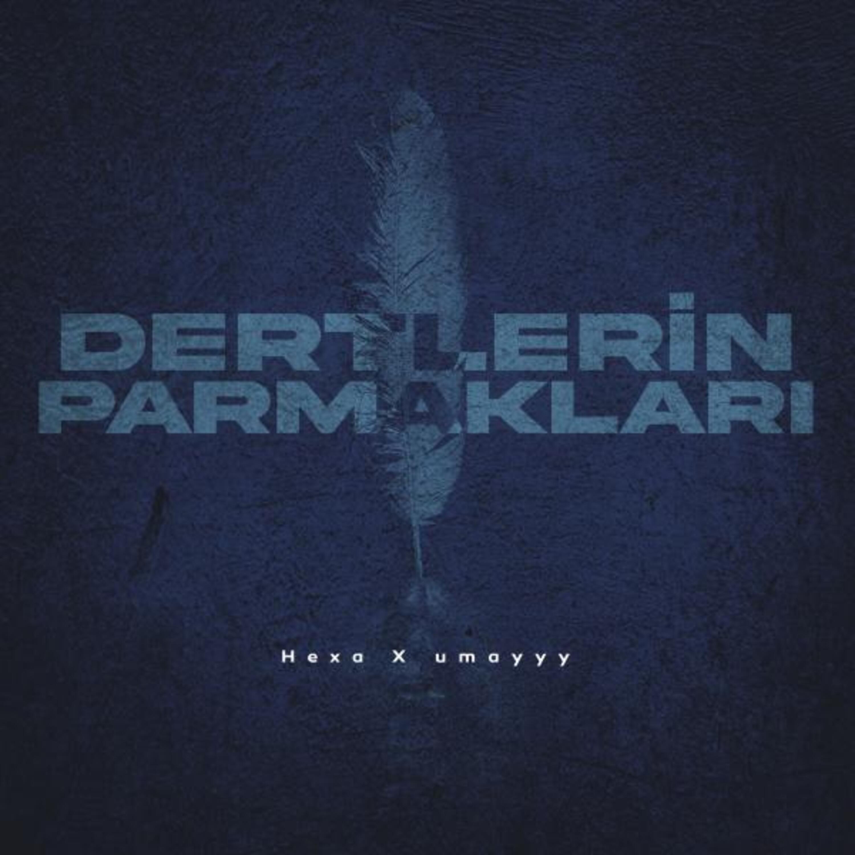 Постер альбома DERTLERİN PARMAKLARI
