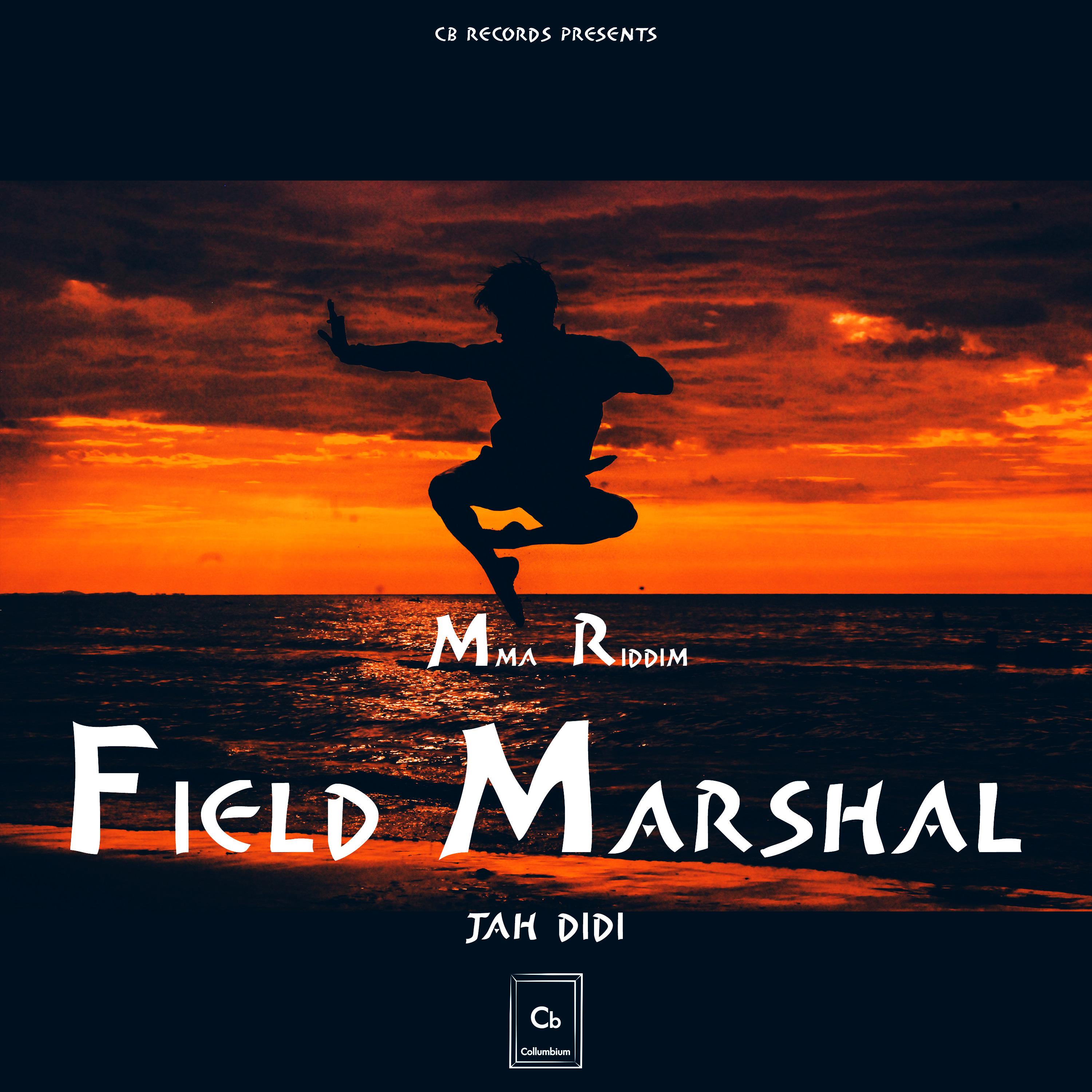 Постер альбома Field Marshal