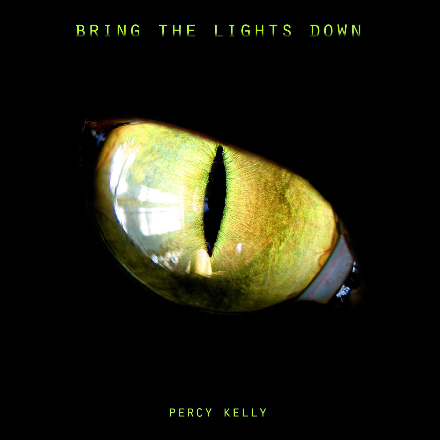 Percy Kelly - Lugano Lake