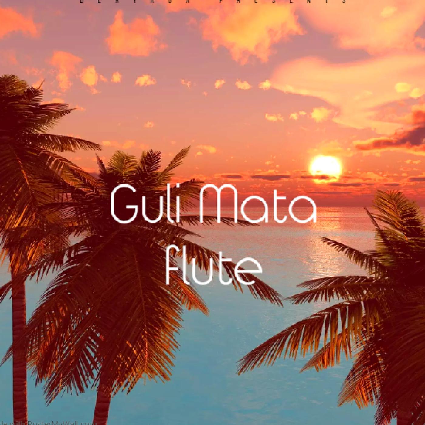 Постер альбома Guli Mata Flute