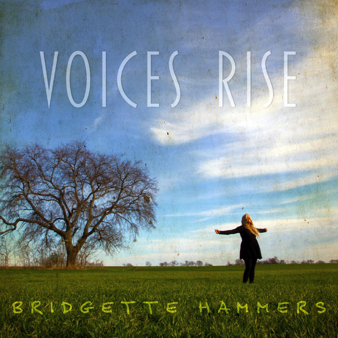 Постер альбома Voices Rise