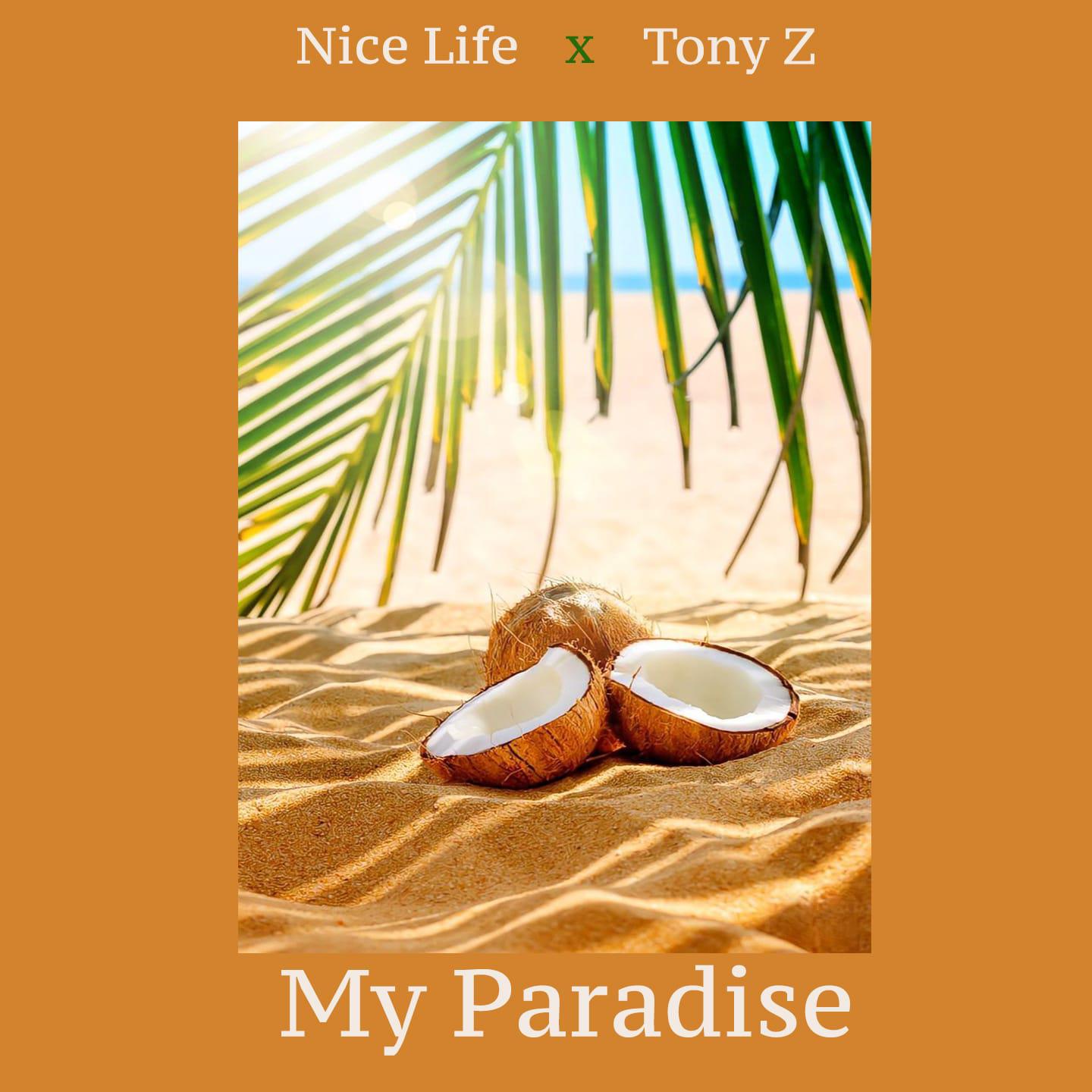 Постер альбома My Paradise