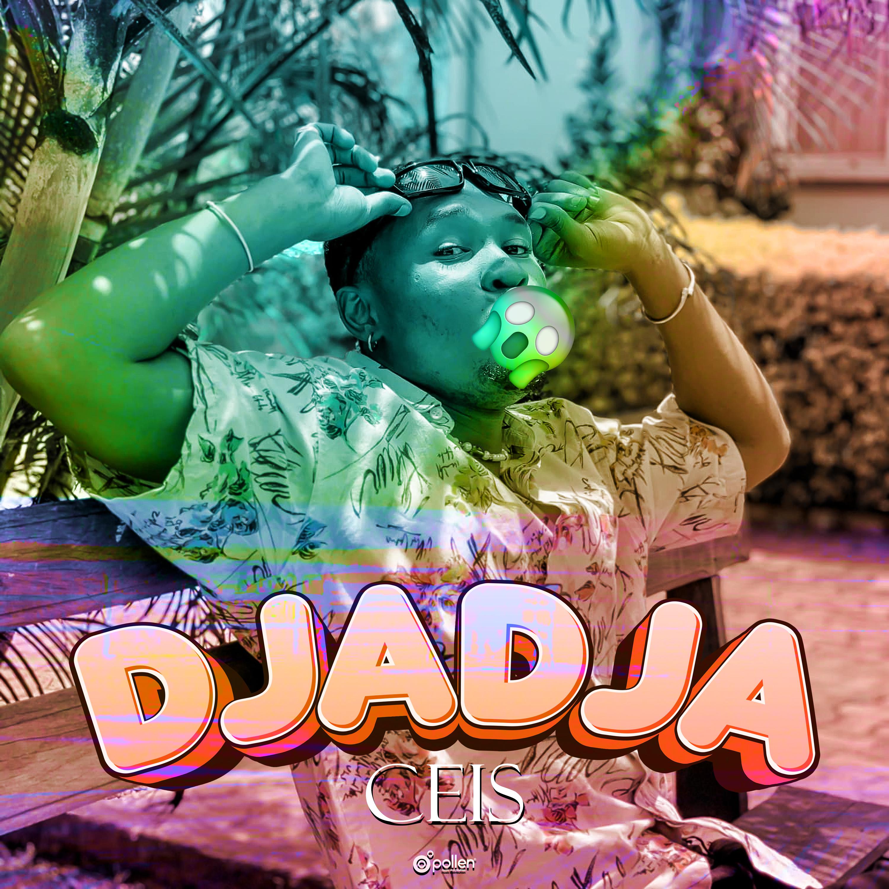 Постер альбома Dja Dja