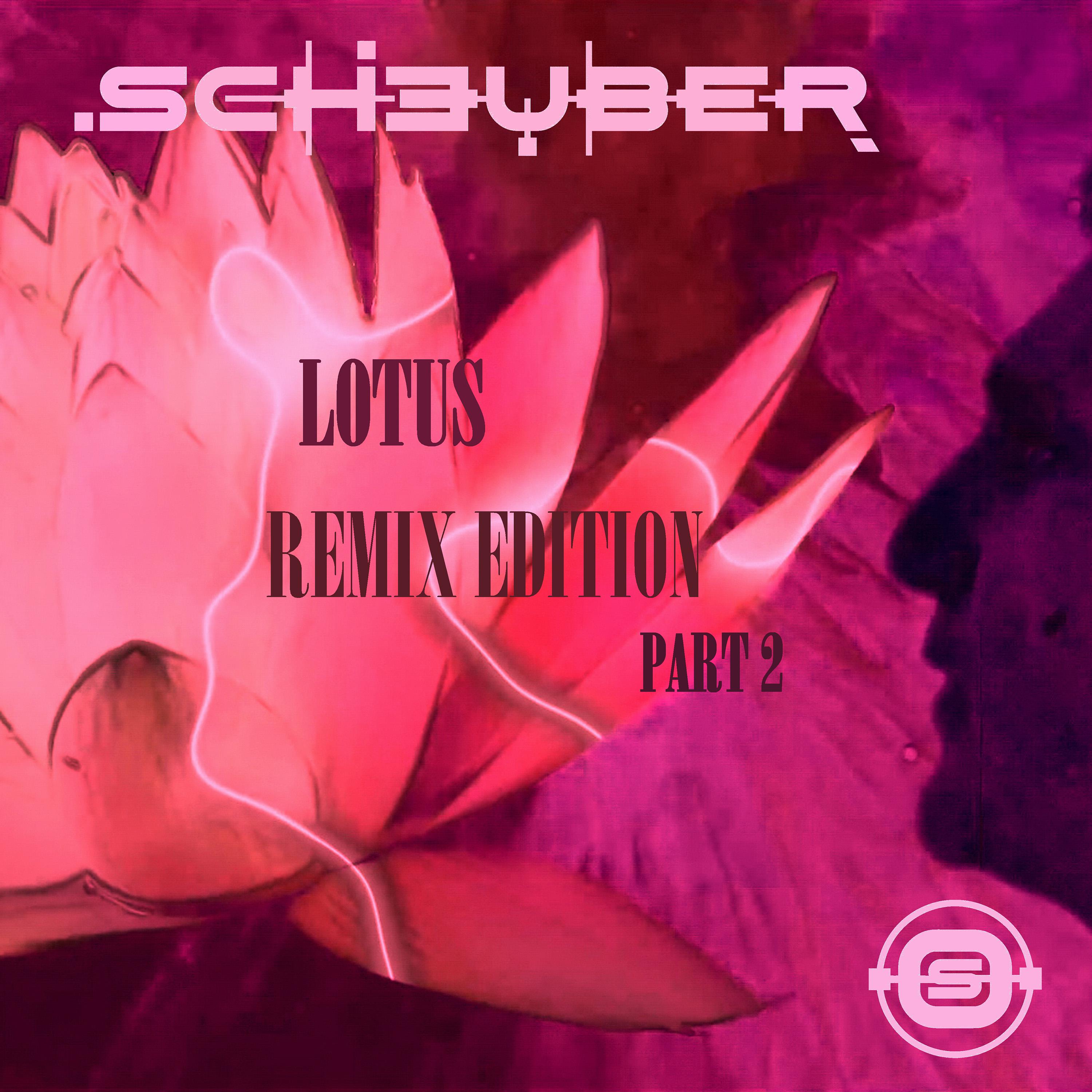 Постер альбома Lotus Remix Edition, Pt. 2
