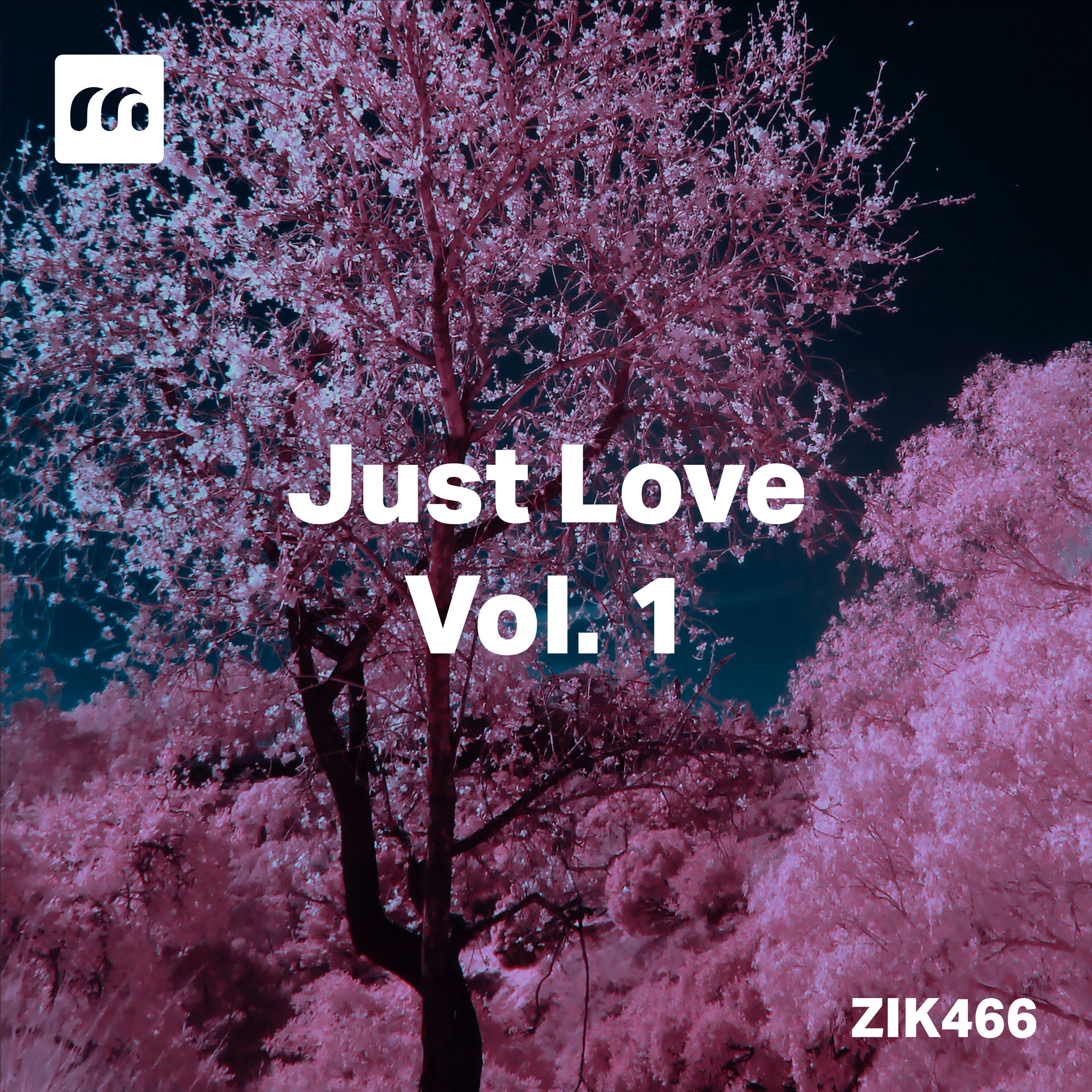 Постер альбома Just Love, Vol. 1