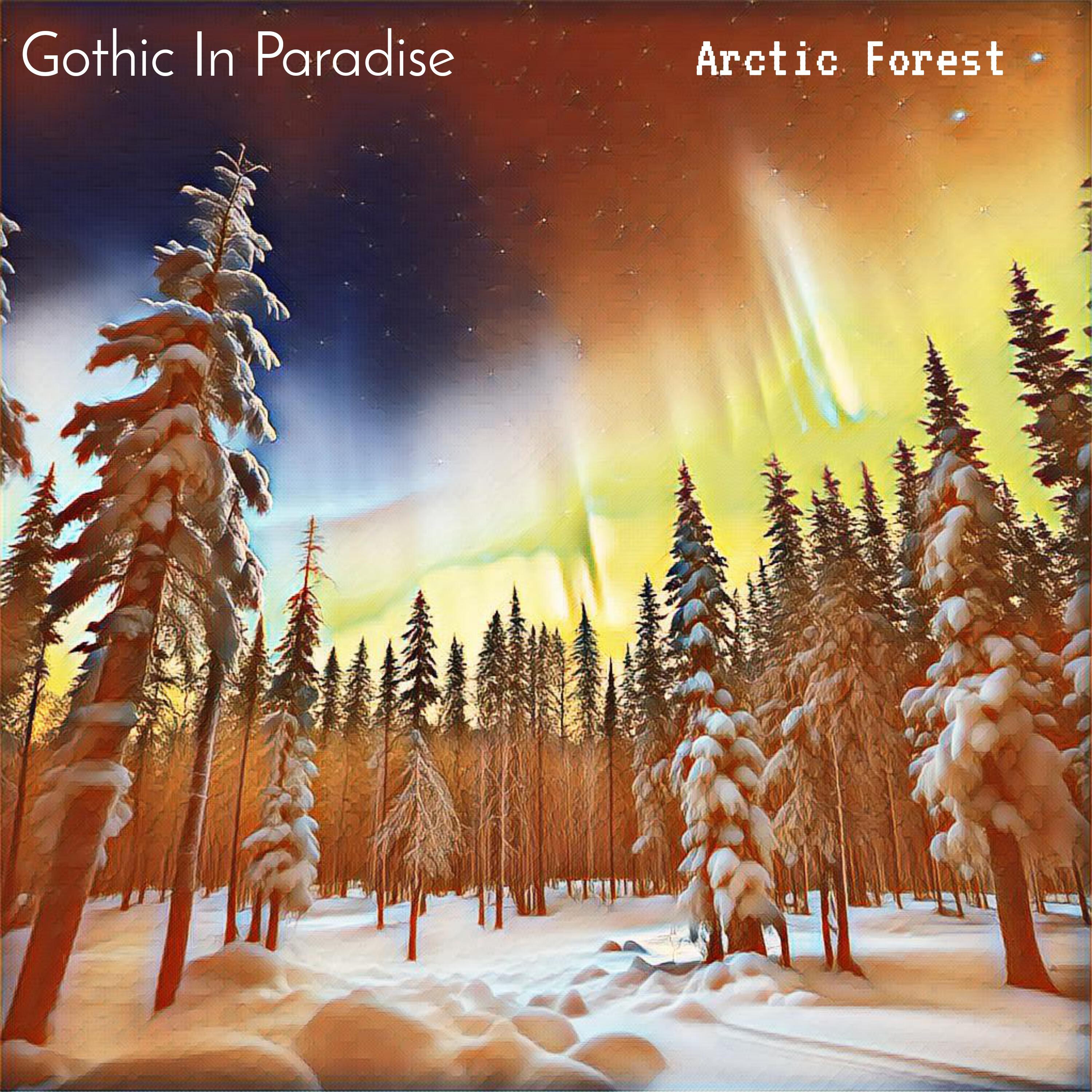 Постер альбома Arctic Forest