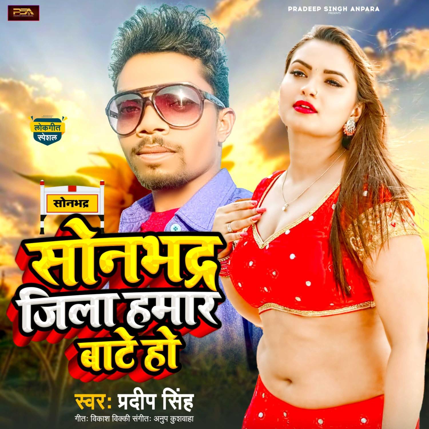 Постер альбома Sonbhdra Jila Hamar Bate Ho