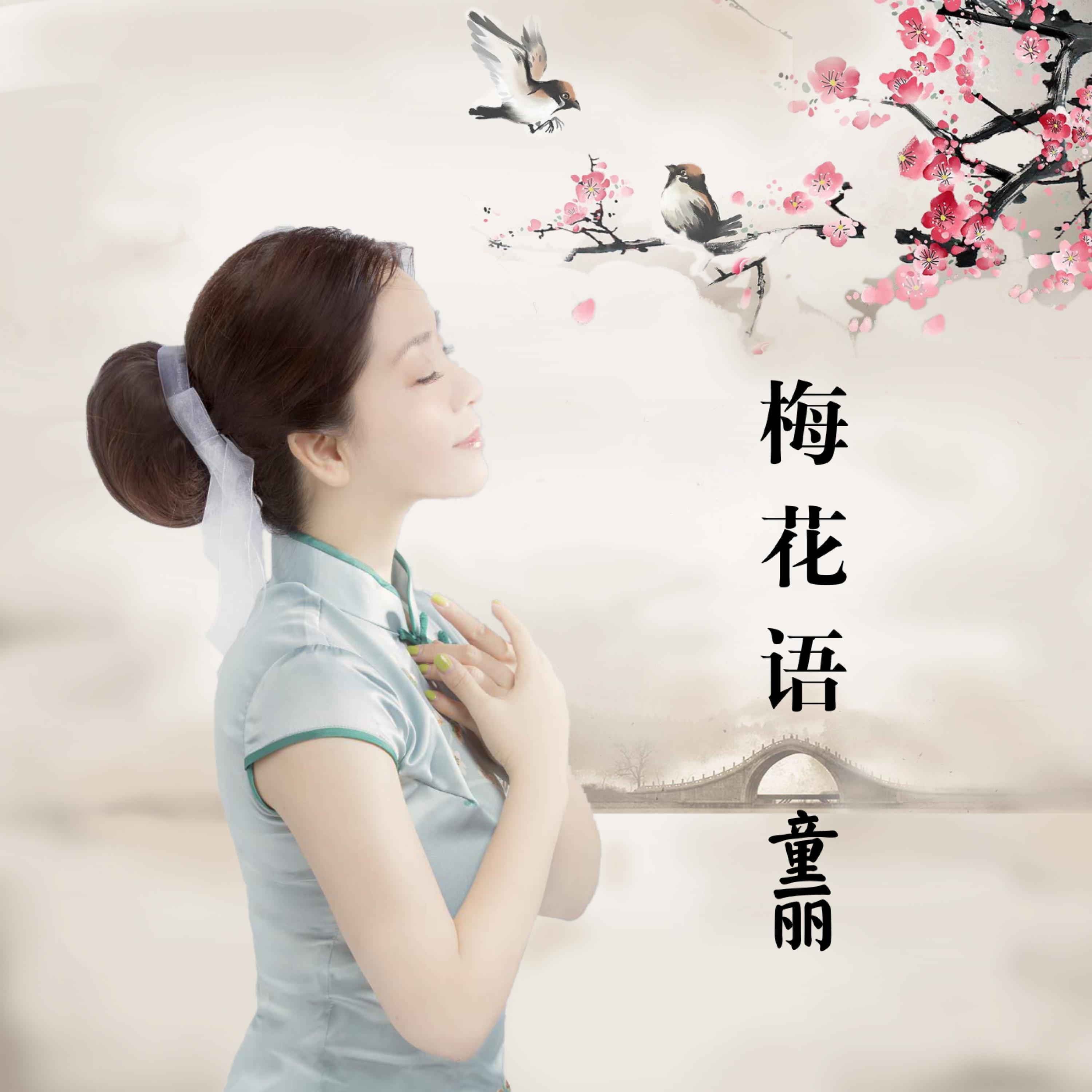 Постер альбома 梅花语