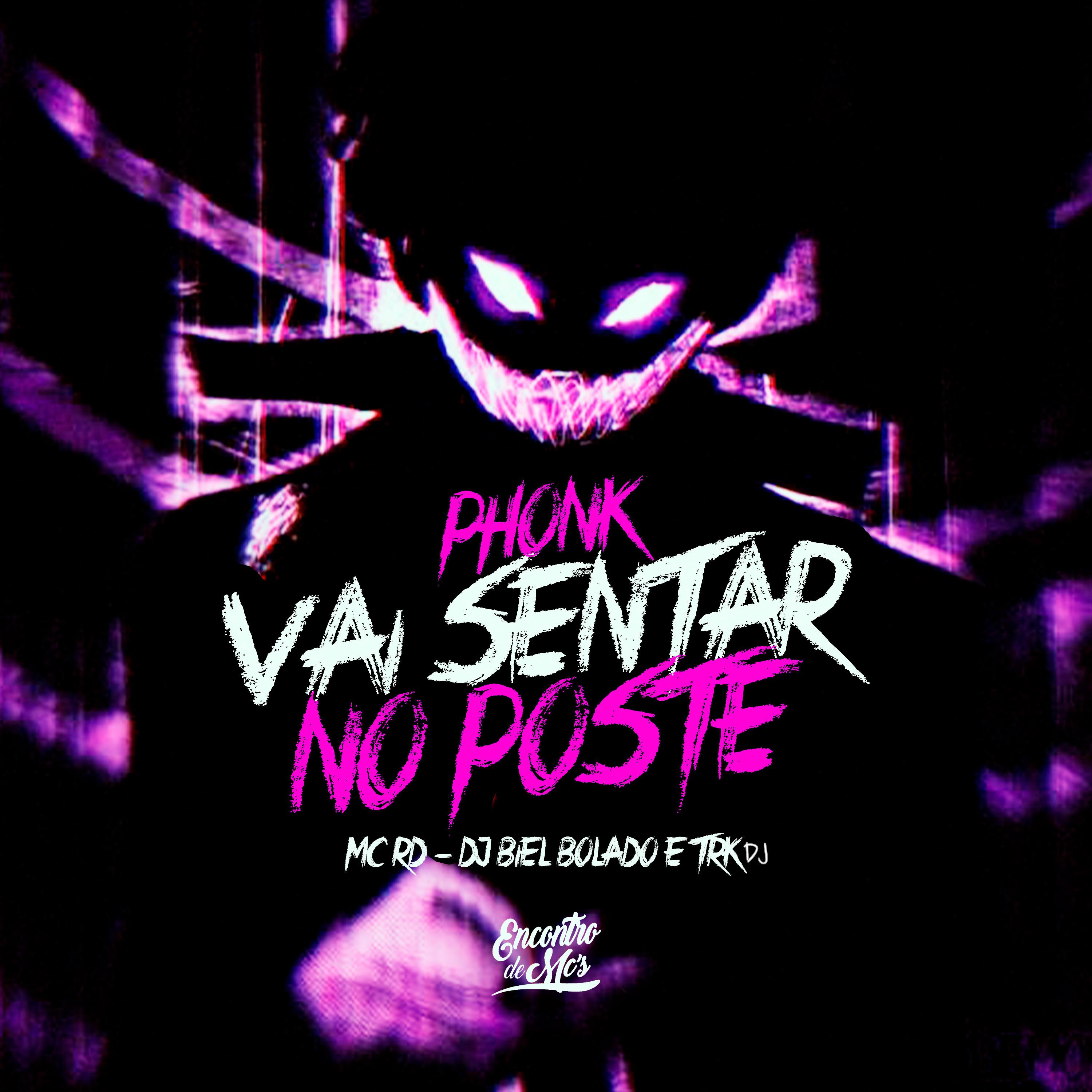 Постер альбома Phonk Vai Sentar no Poste