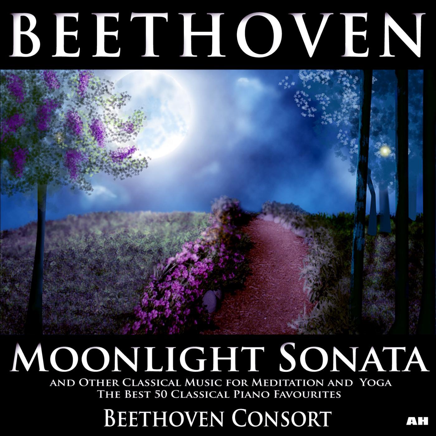 Постер альбома Beethoven Moonlight Sonata and Other Classical Music for Meditation, Yoga Ultimate Relaxation Best 50 Classical Piano Favourites