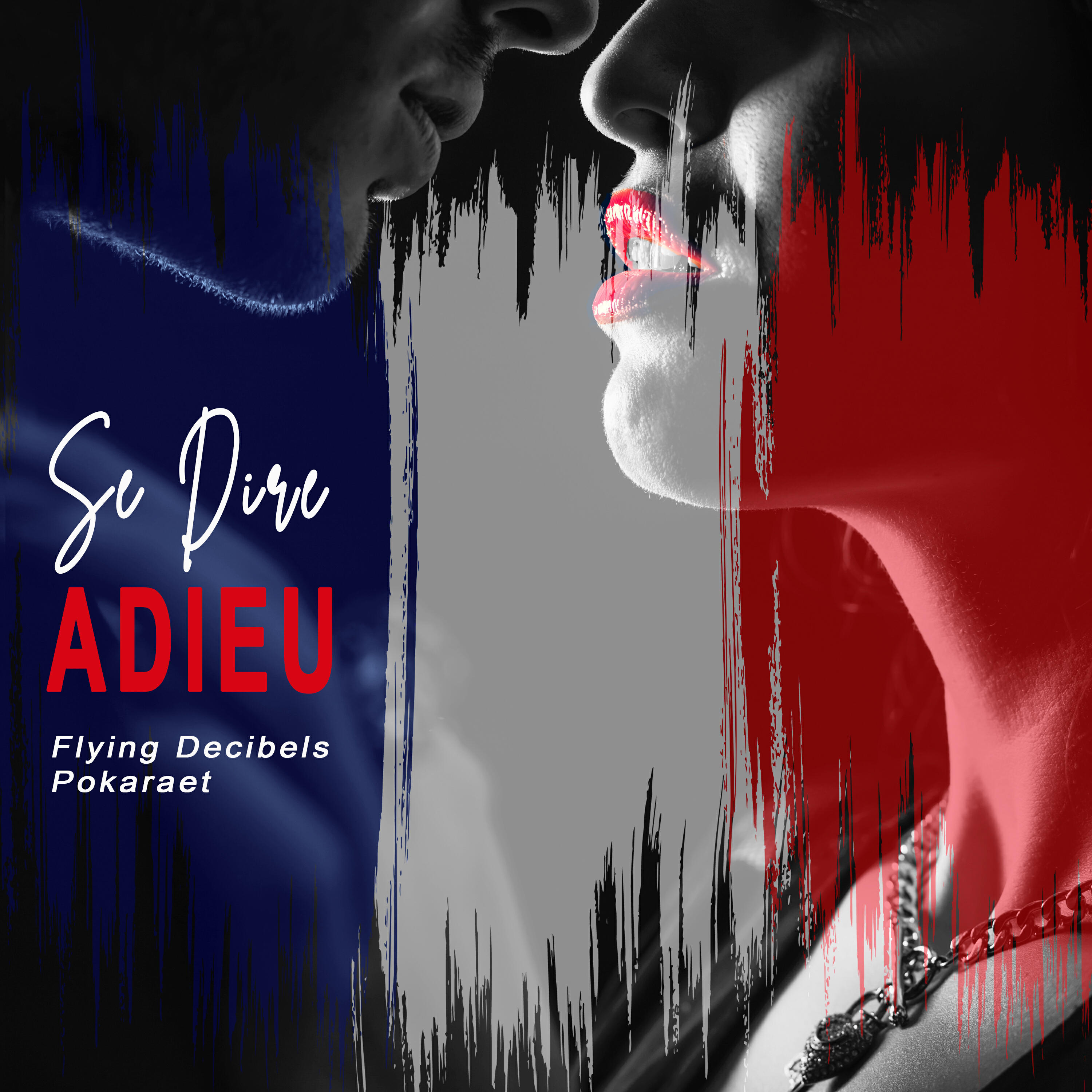 Flying Decibels - Se Dire Adieu