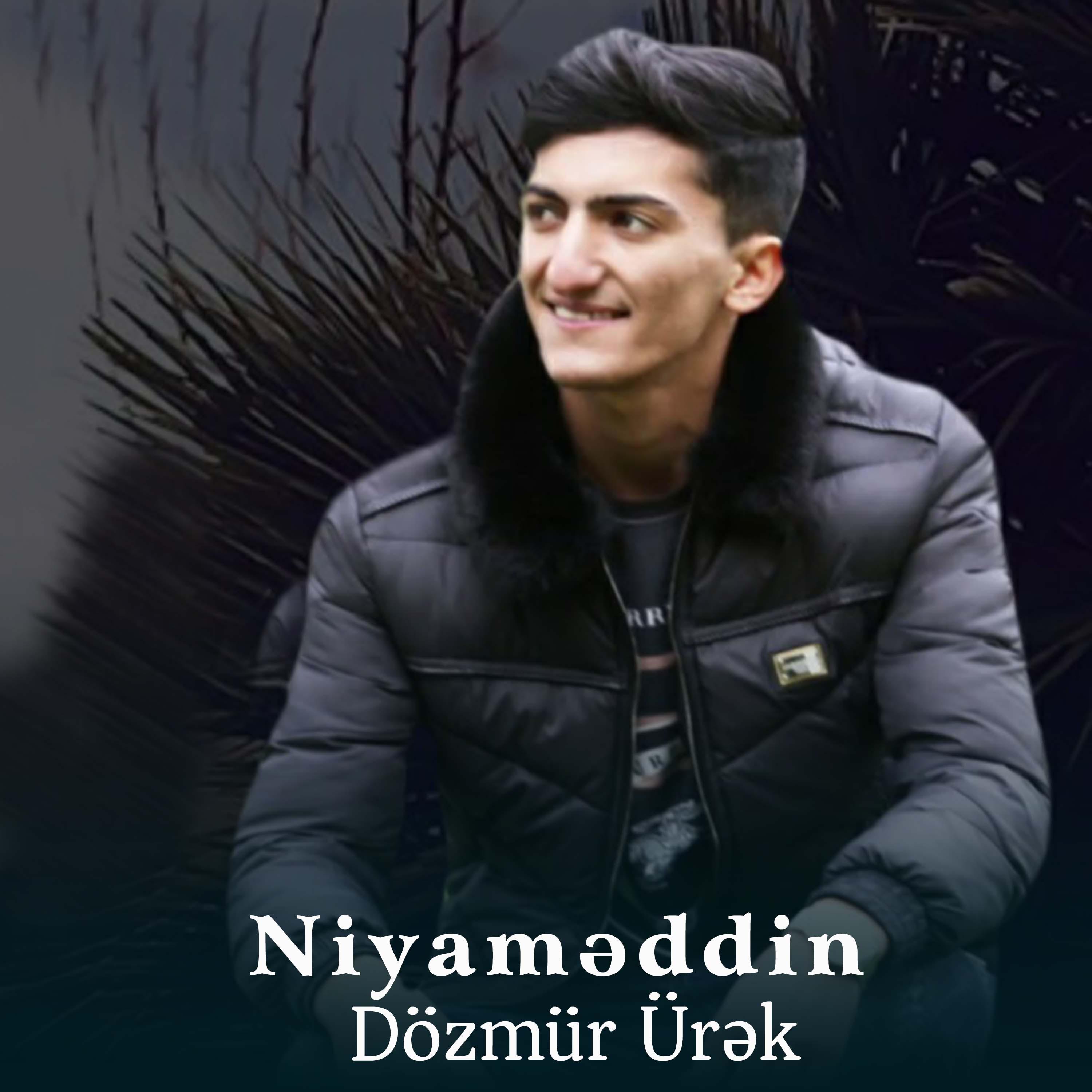 Постер альбома Dözmür Ürək