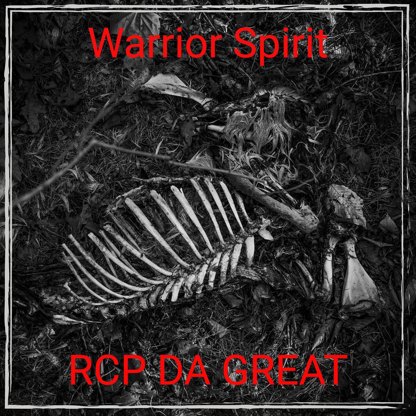 Постер альбома Warrior Spirit
