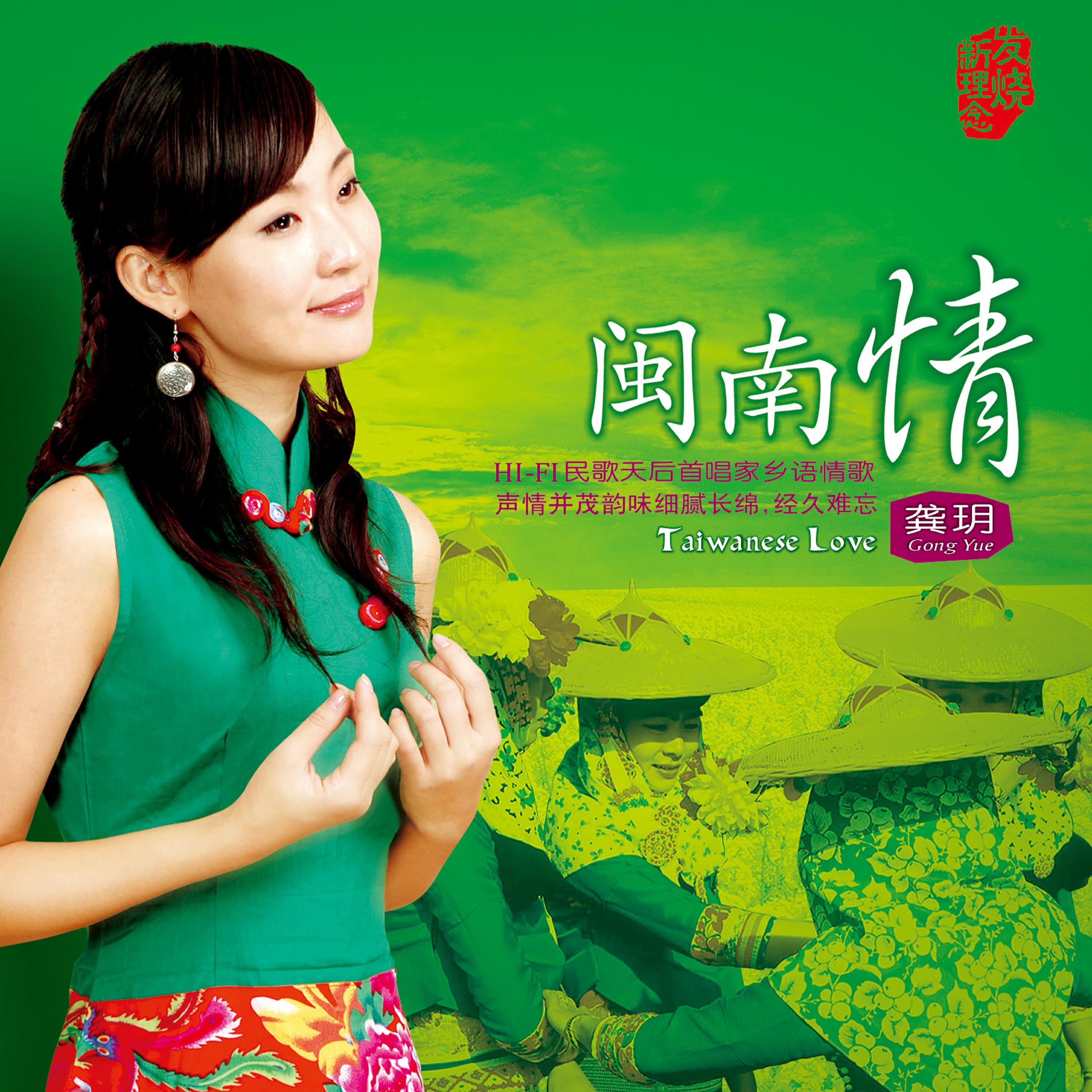 Постер альбома 闽南情