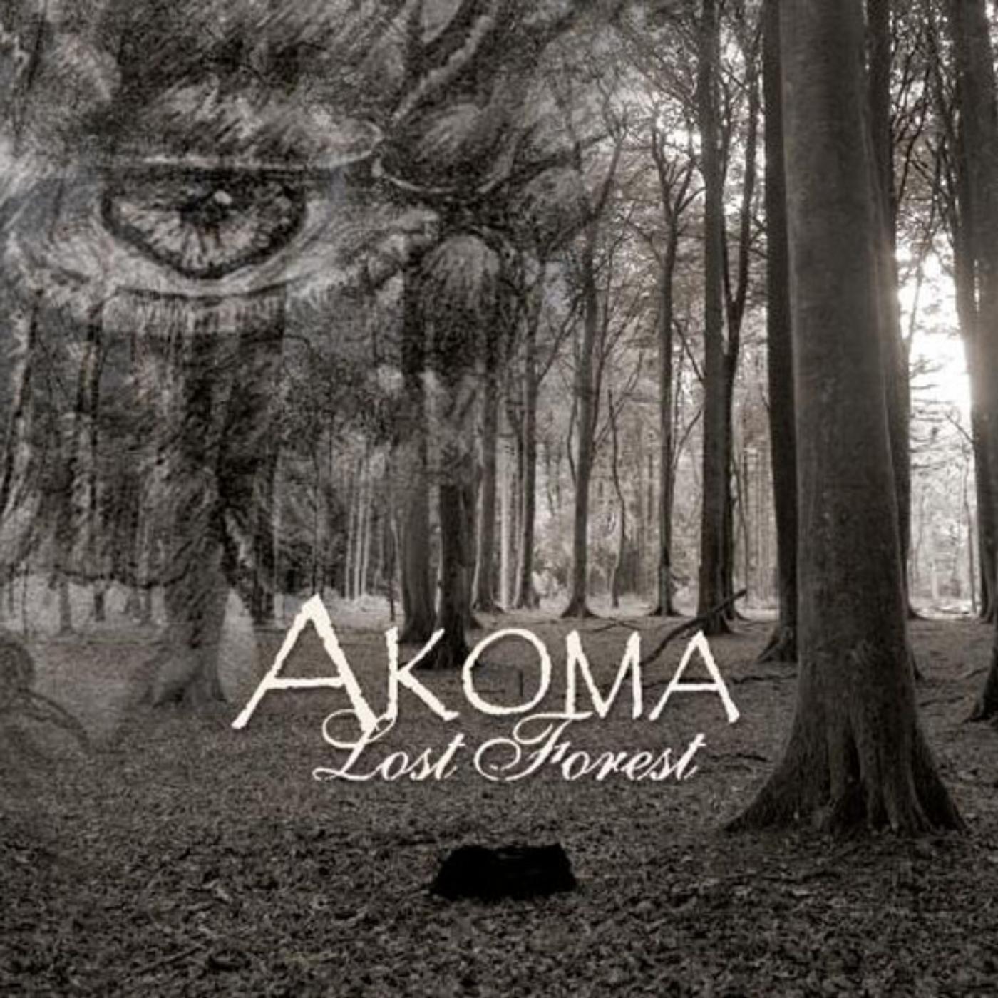 Постер альбома Lost Forest