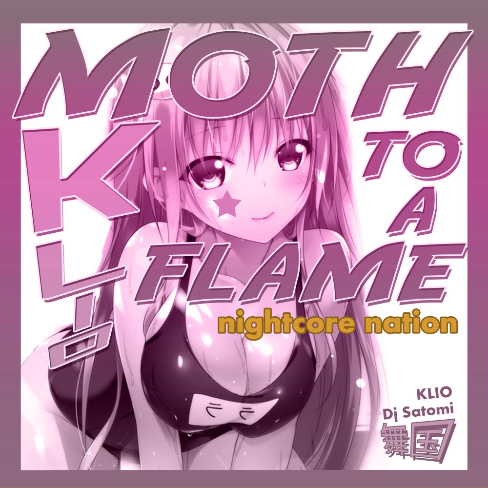 Постер альбома Moth To A Flame (Nightcore Nation Mix)