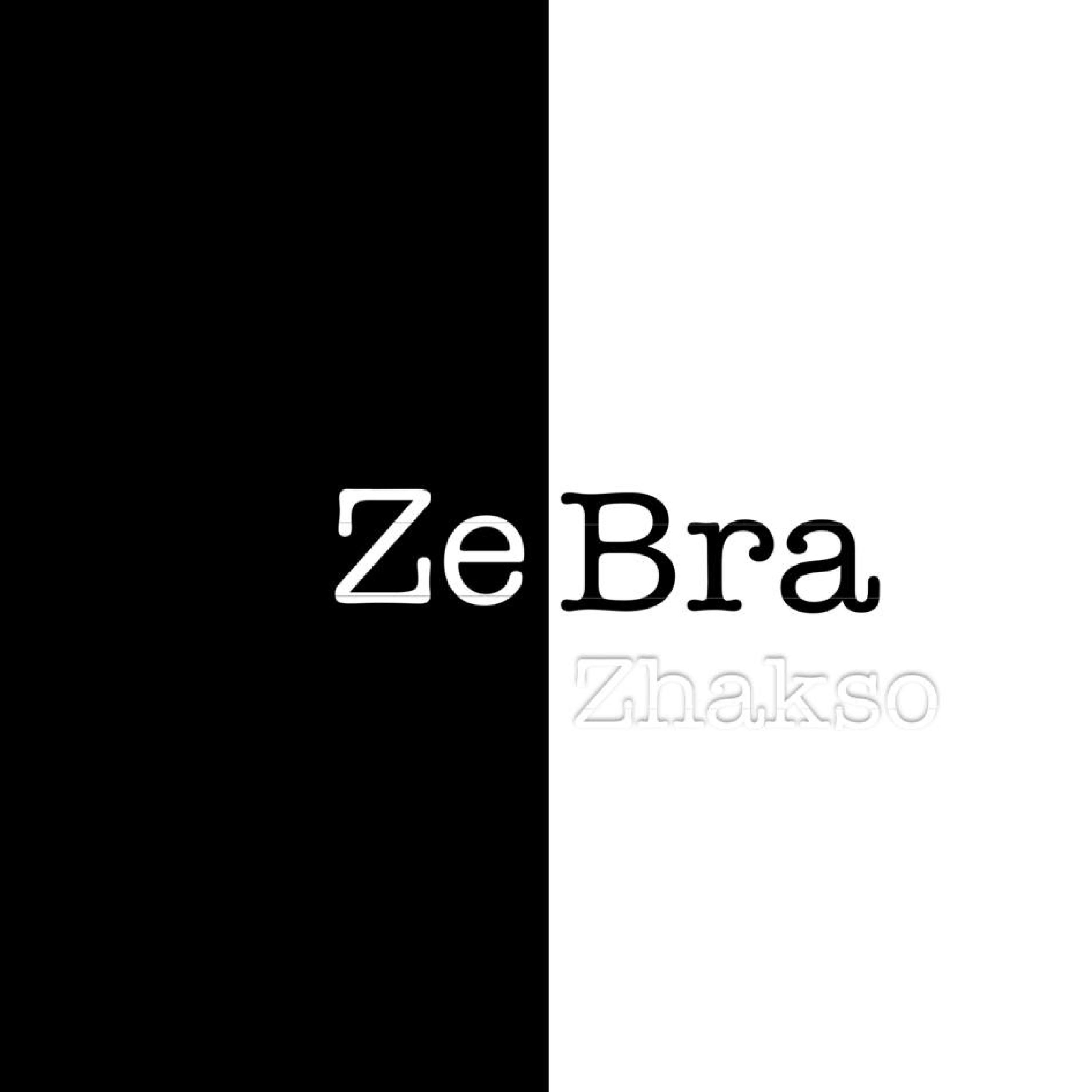 Постер альбома ZeBra