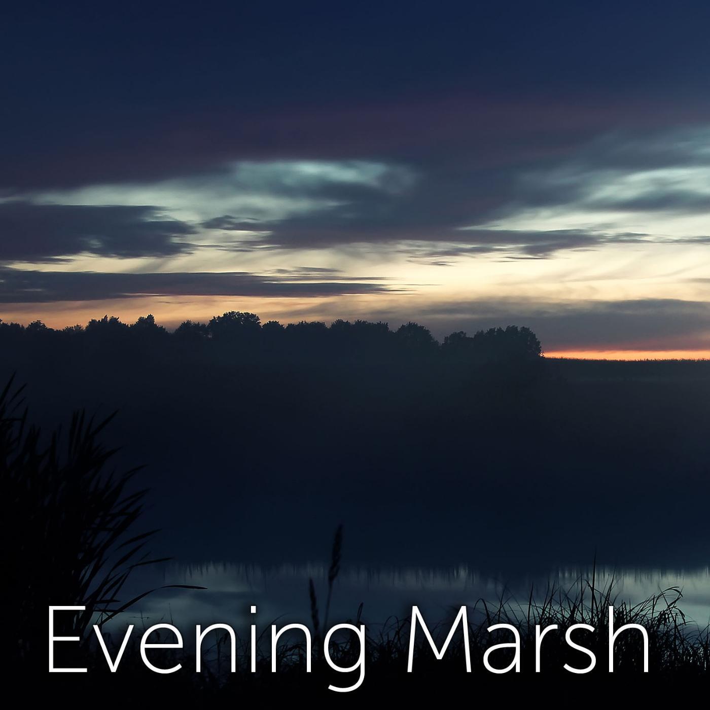 Tmsoft's White Noise Sleep Sounds - Evening Marsh