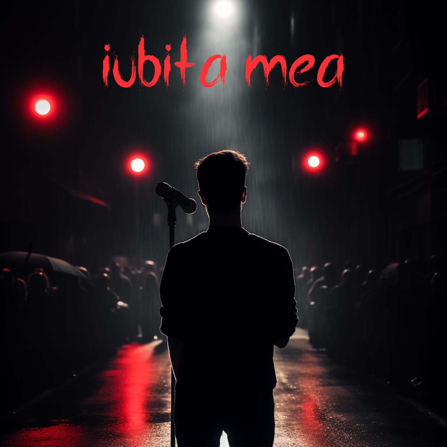Постер альбома Iubita Mea