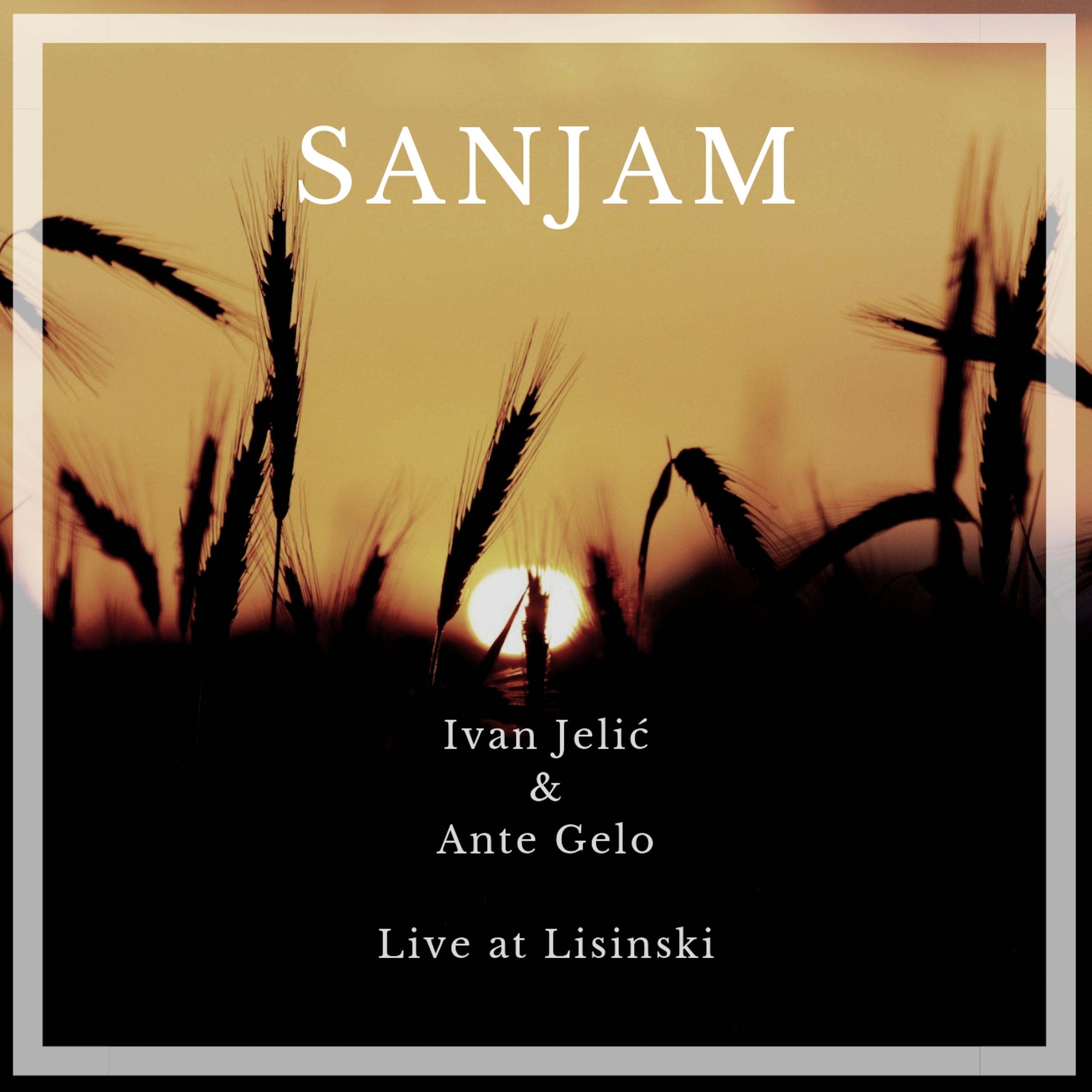 Постер альбома Sanjam
