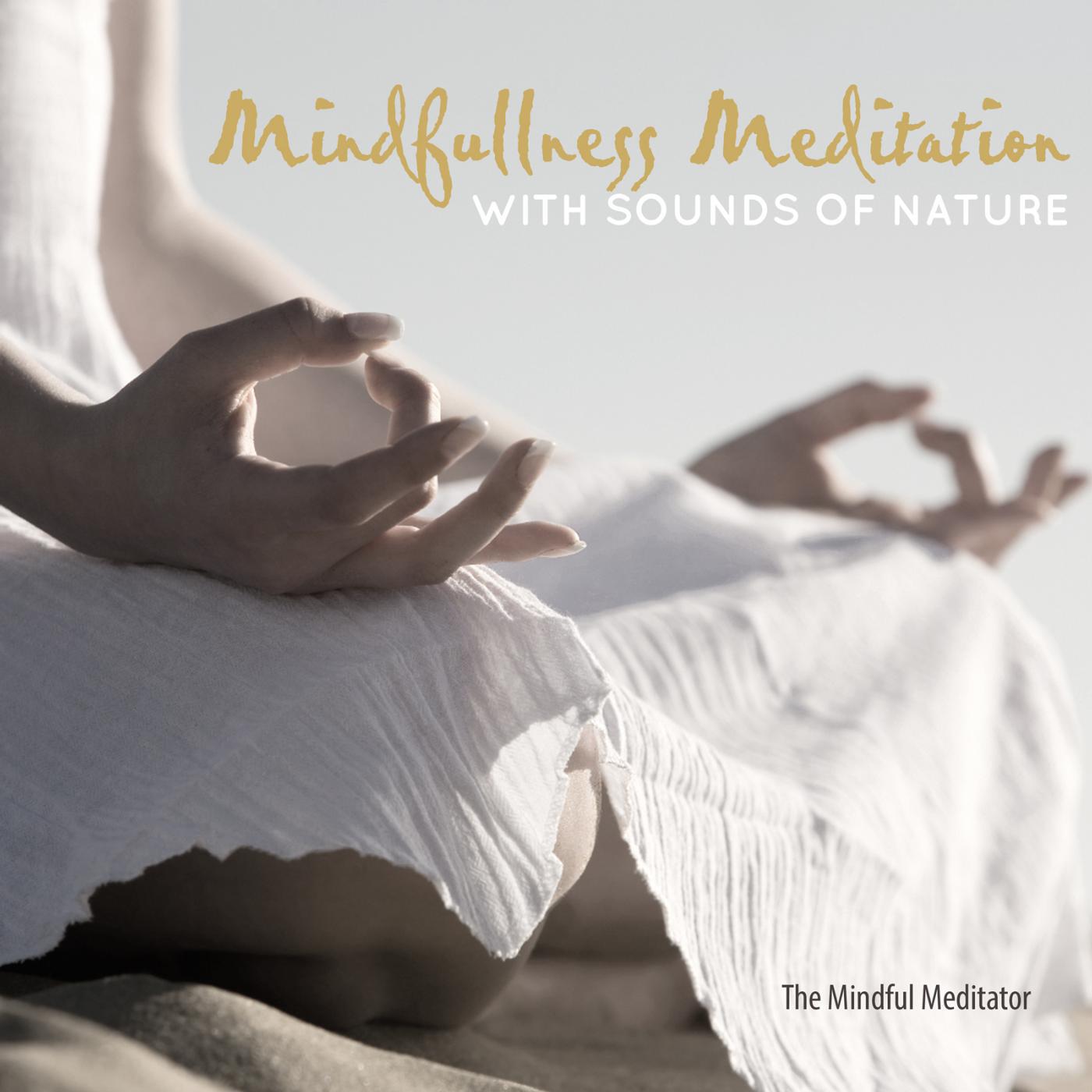 The Mindful Meditator - Patience, Compassion & Gratitude (Drawing Power from Nature)