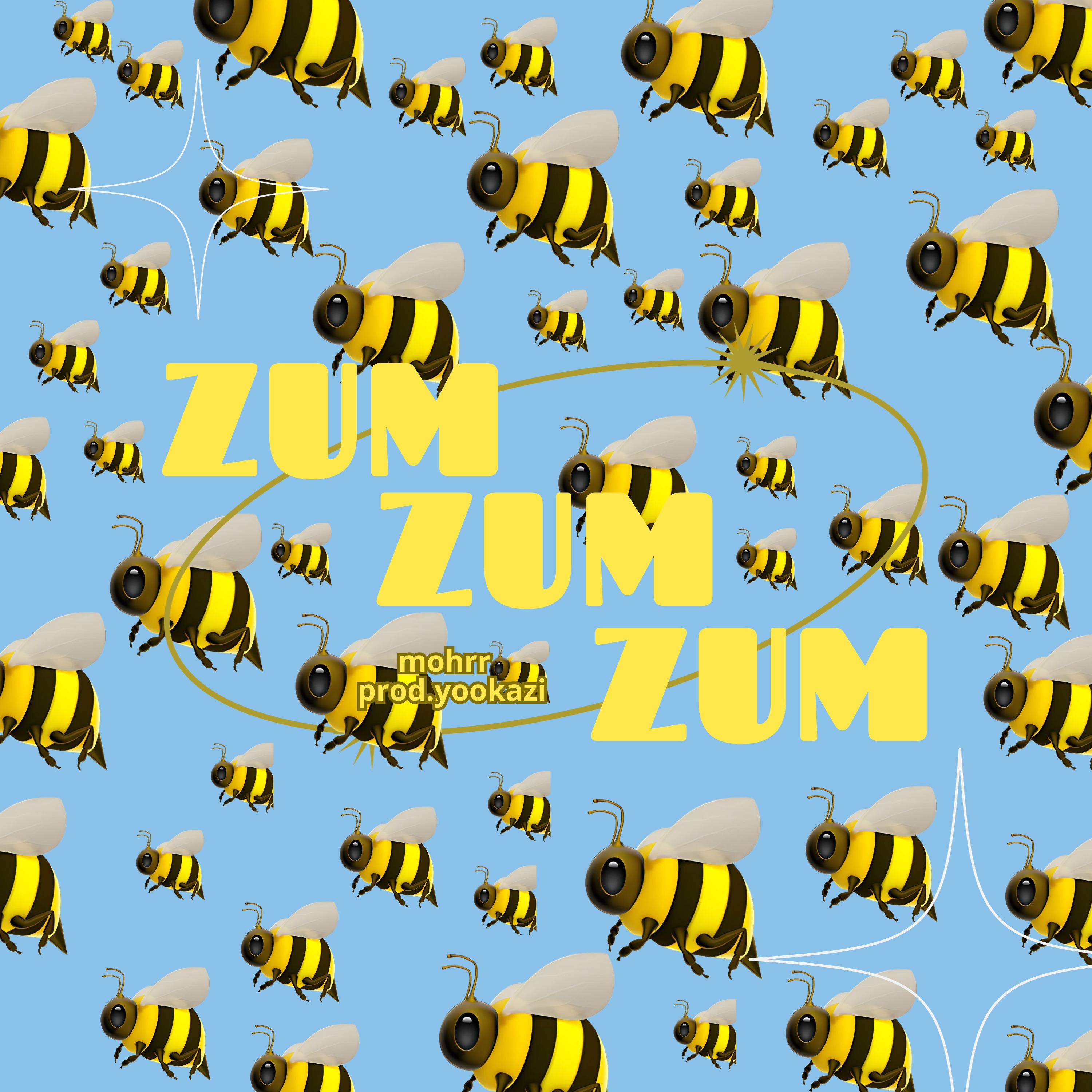 Постер альбома Zum Zum Zum