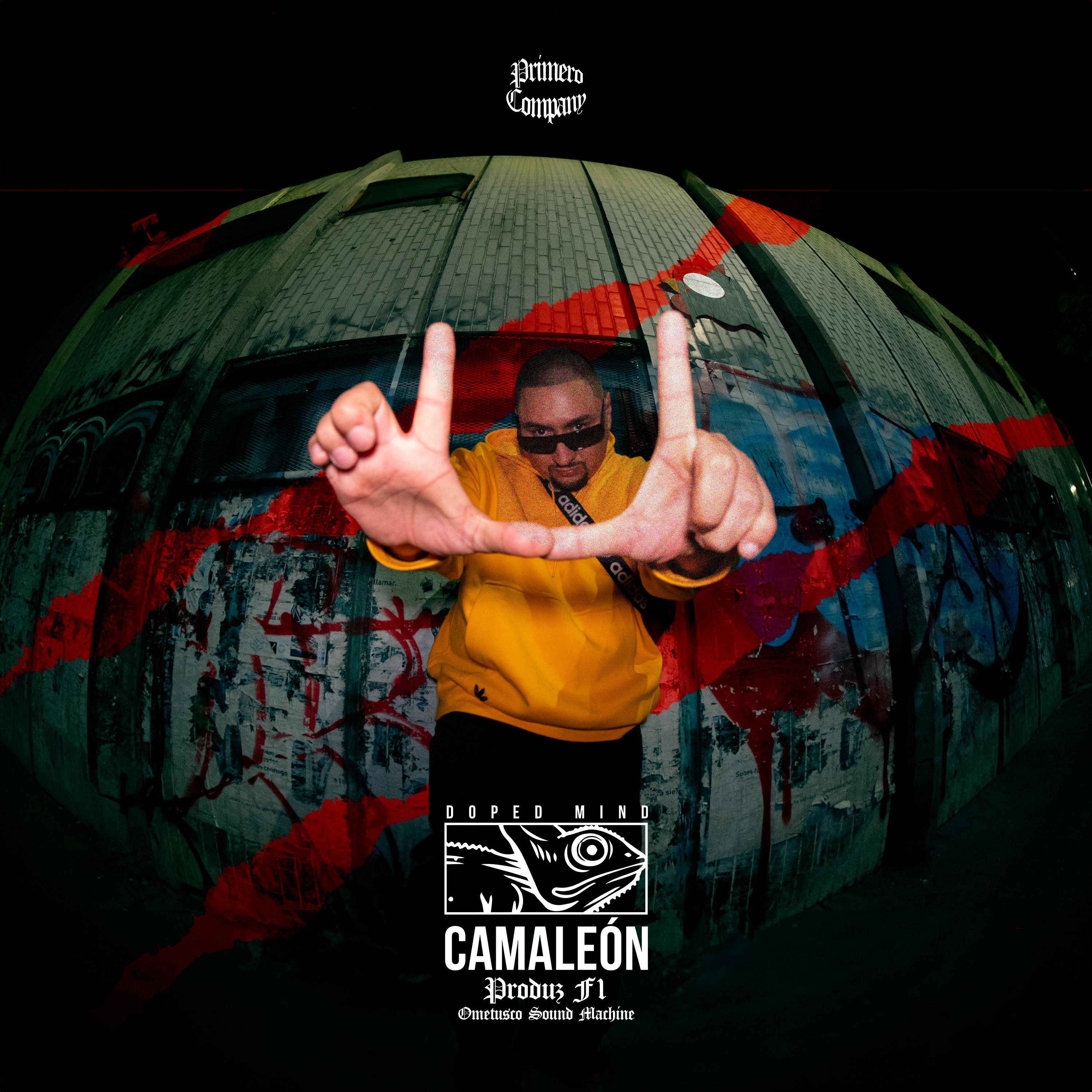 Постер альбома Camaleón
