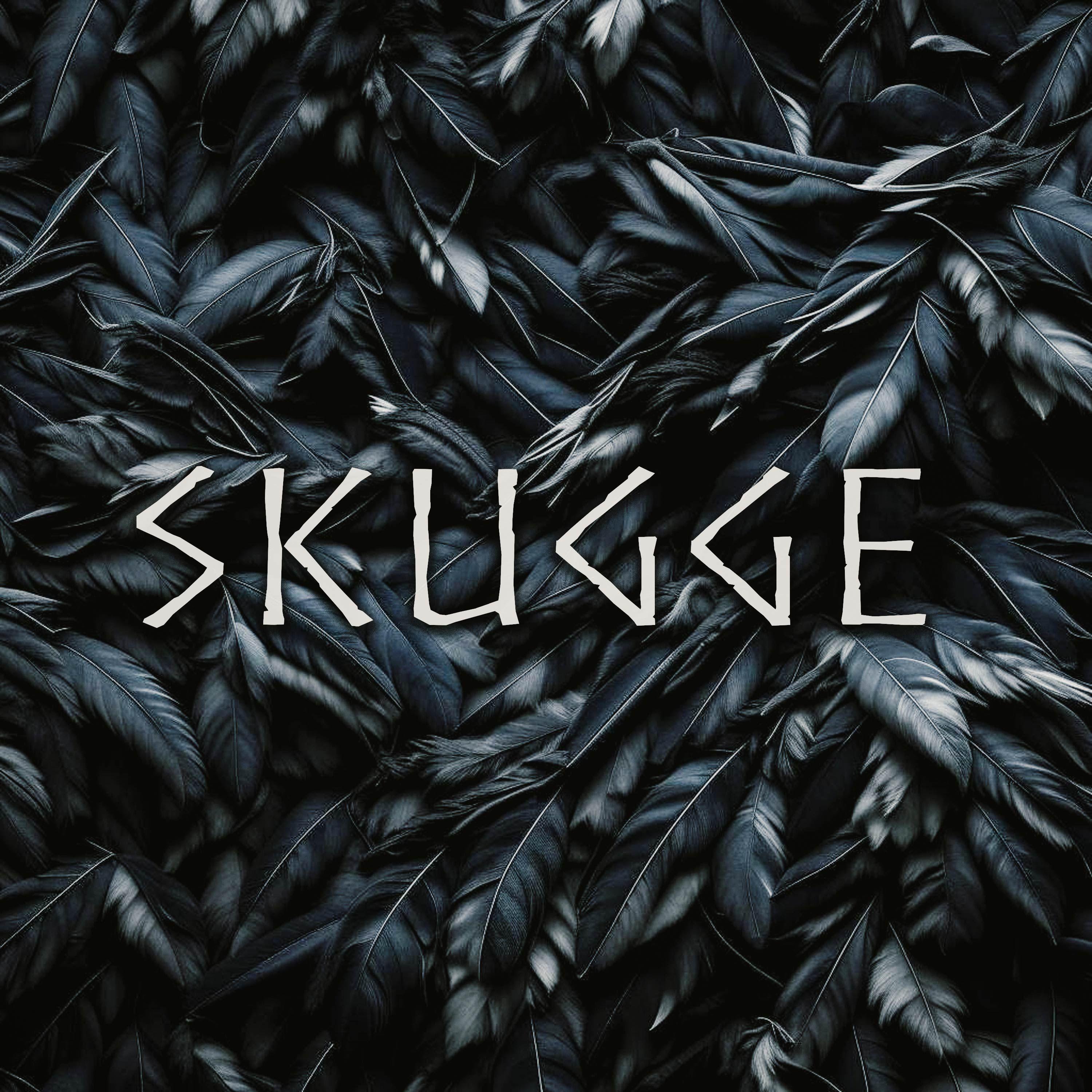 Постер альбома Skugge