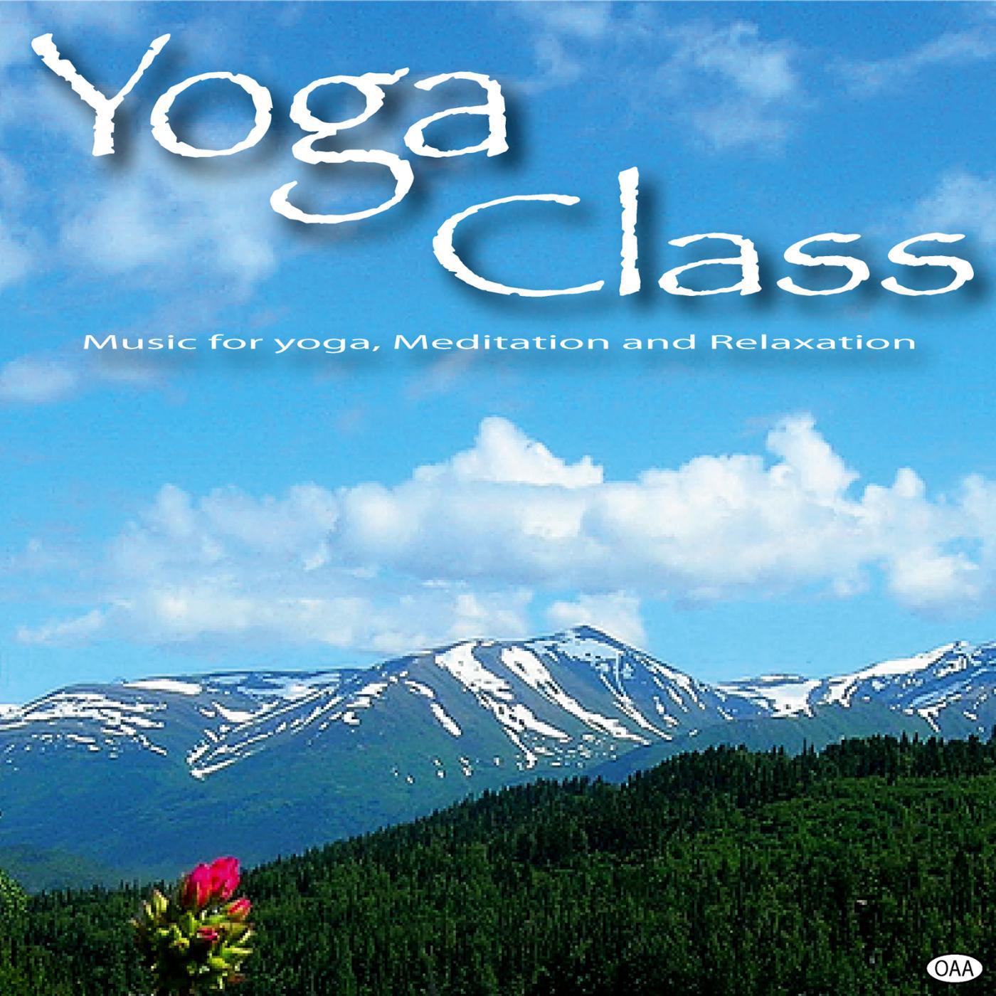 Постер альбома Yoga Class