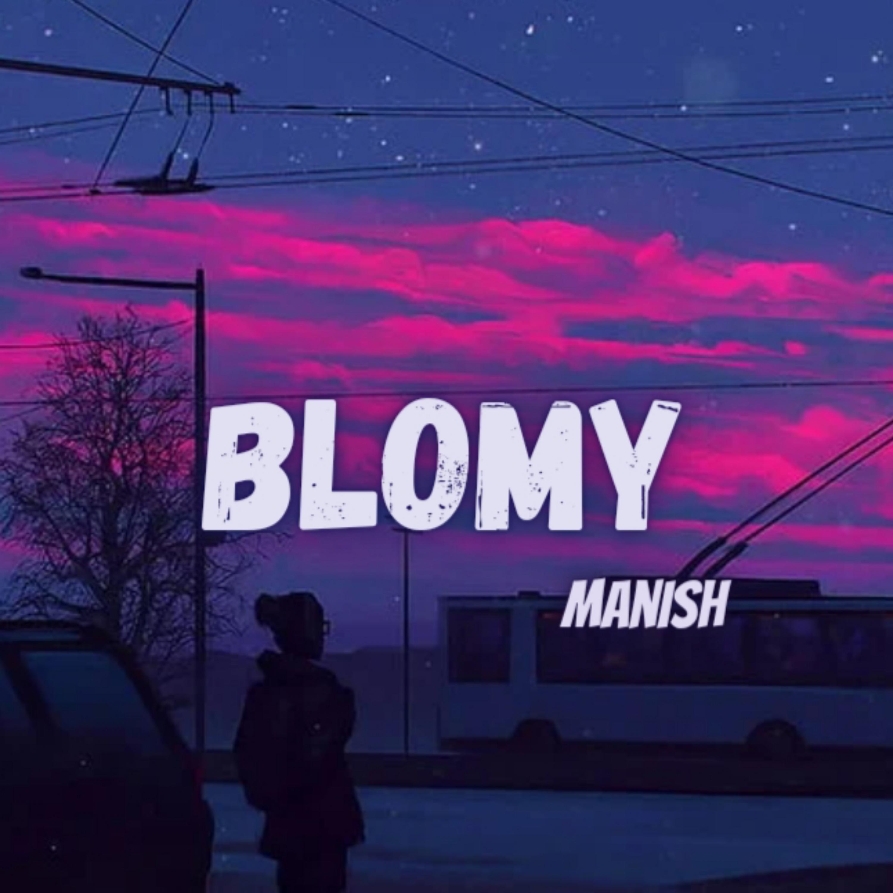 Постер альбома Blomy