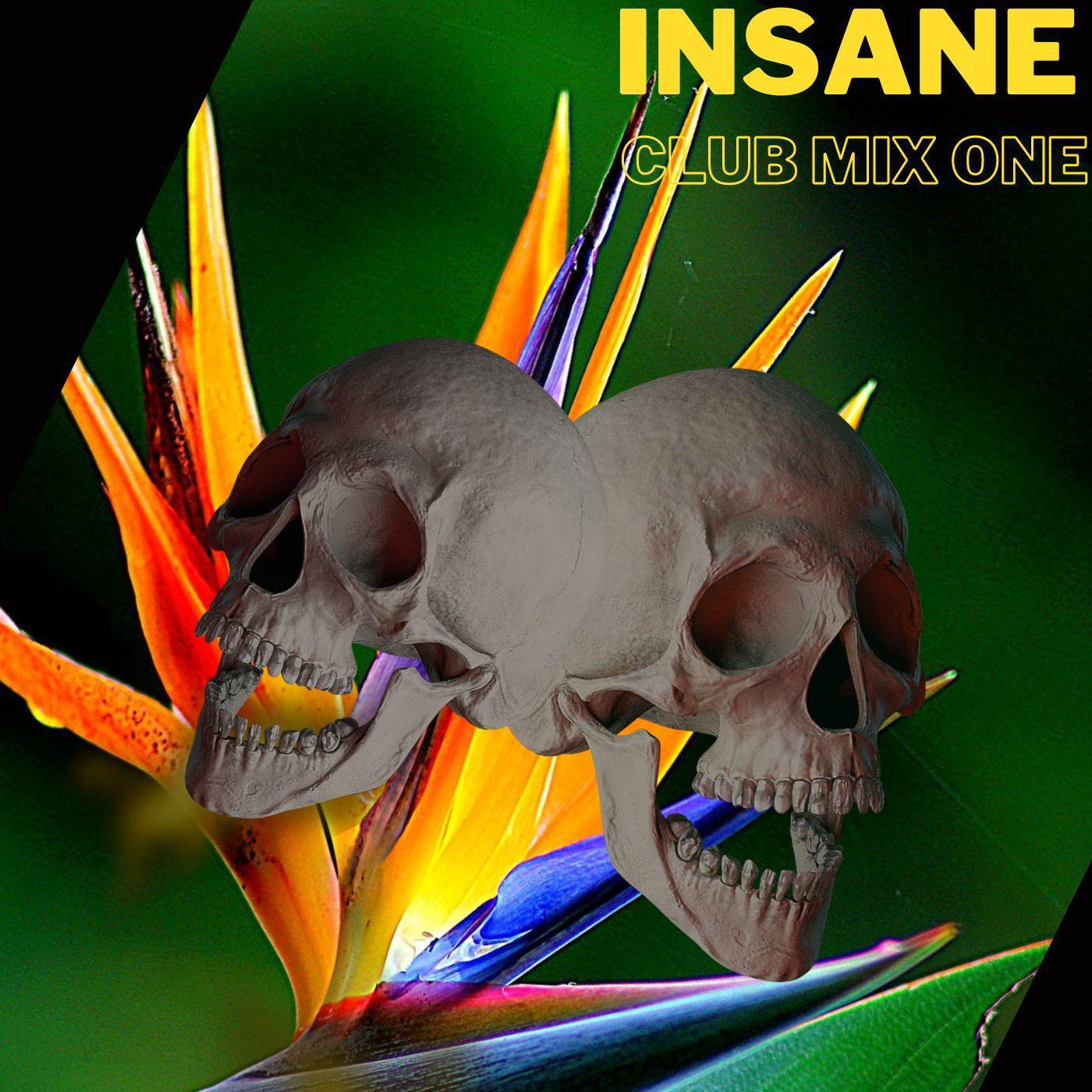 Постер альбома Insane (Club Mix One) (feat. Rick Ross & Sean Kingston)