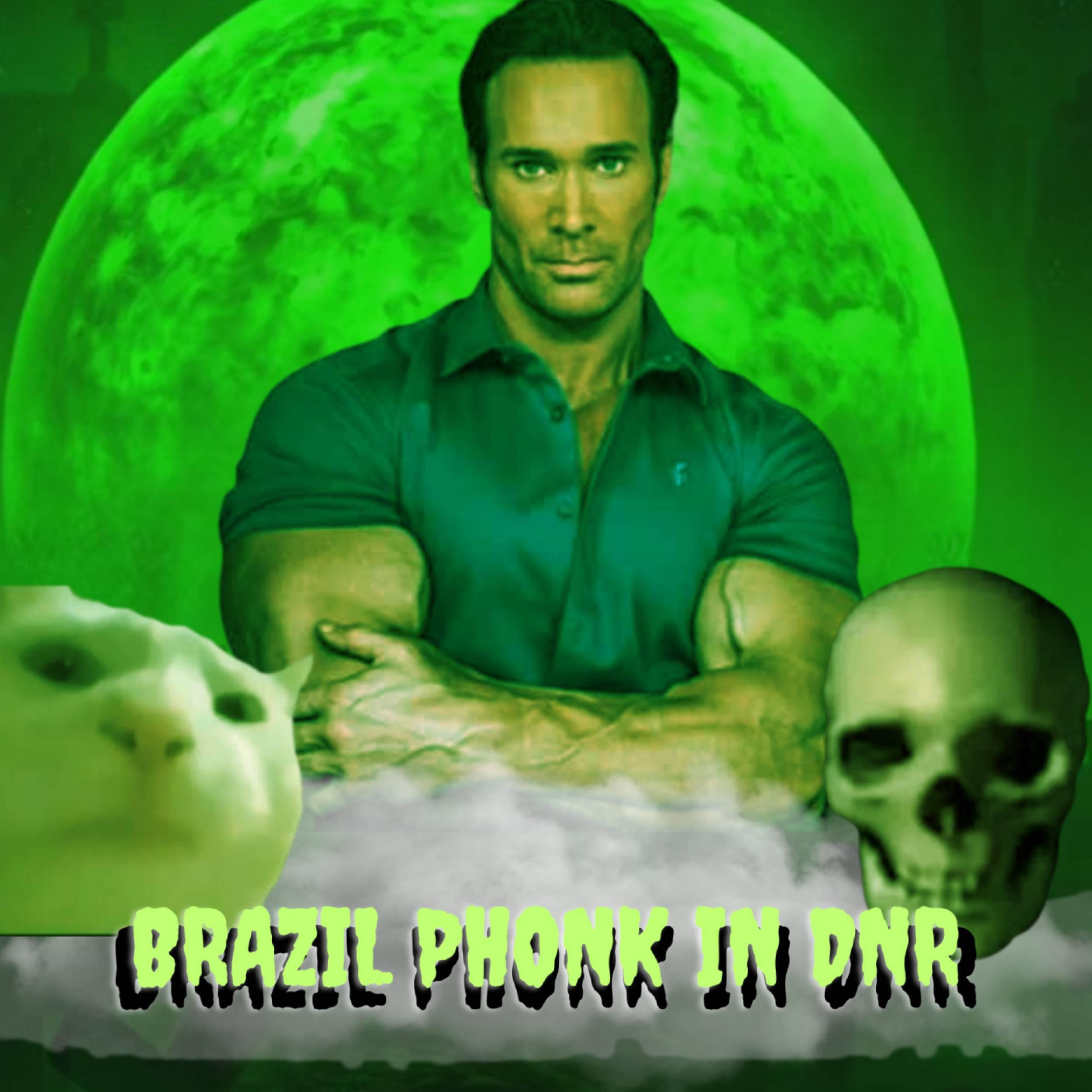 Постер альбома Brazil Phonk in Dnr