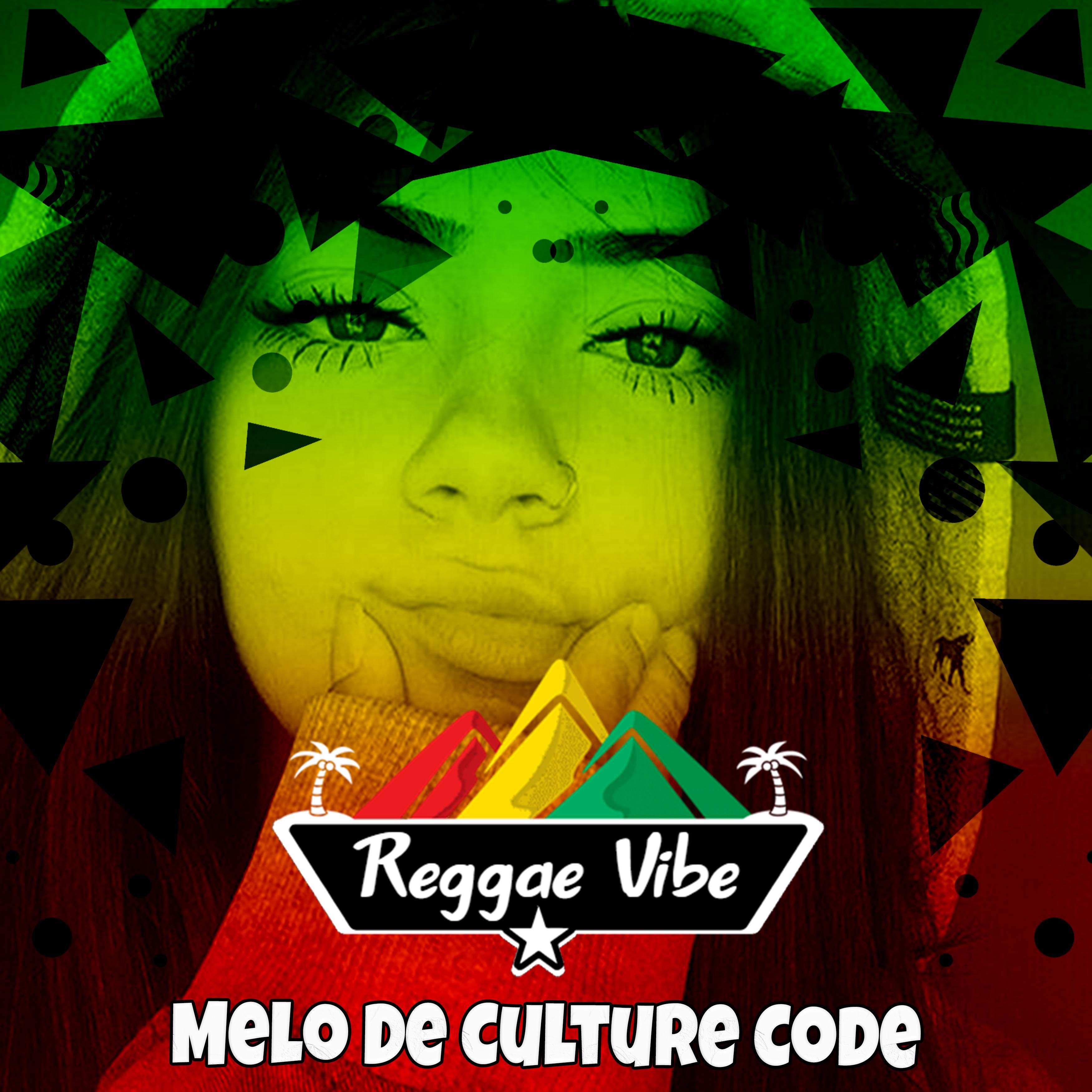 Постер альбома Melo de Culture Code